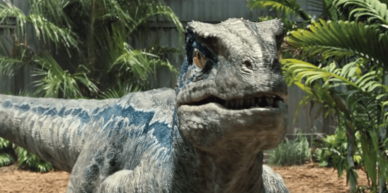 1275x636 Blue. Jurassic Park wiki