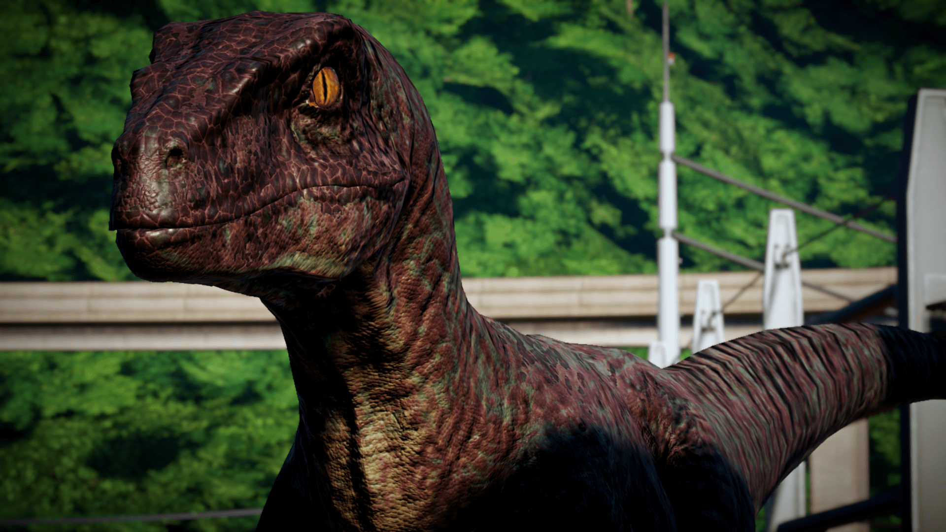 Velociraptor Blue Wallpapers Top Free Velociraptor Blue Backgrounds WallpaperAccess