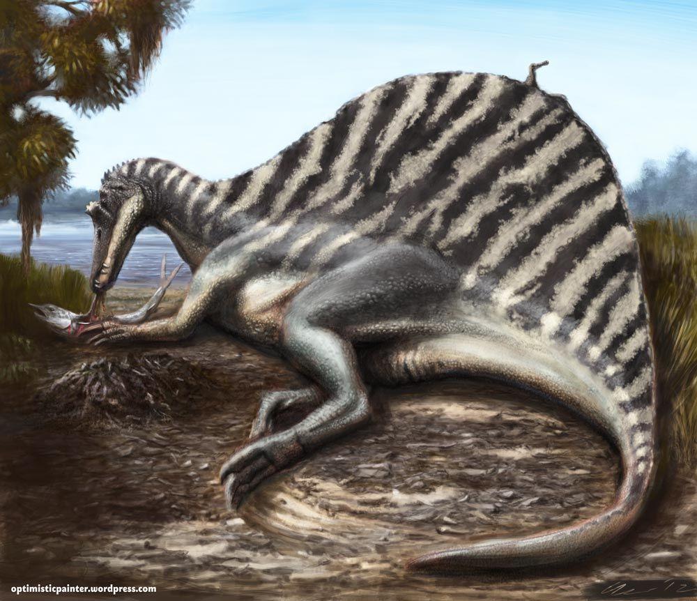 1000x862 Spinosaurus Mum takes a break. Prehistoric animals, Spinosaurus