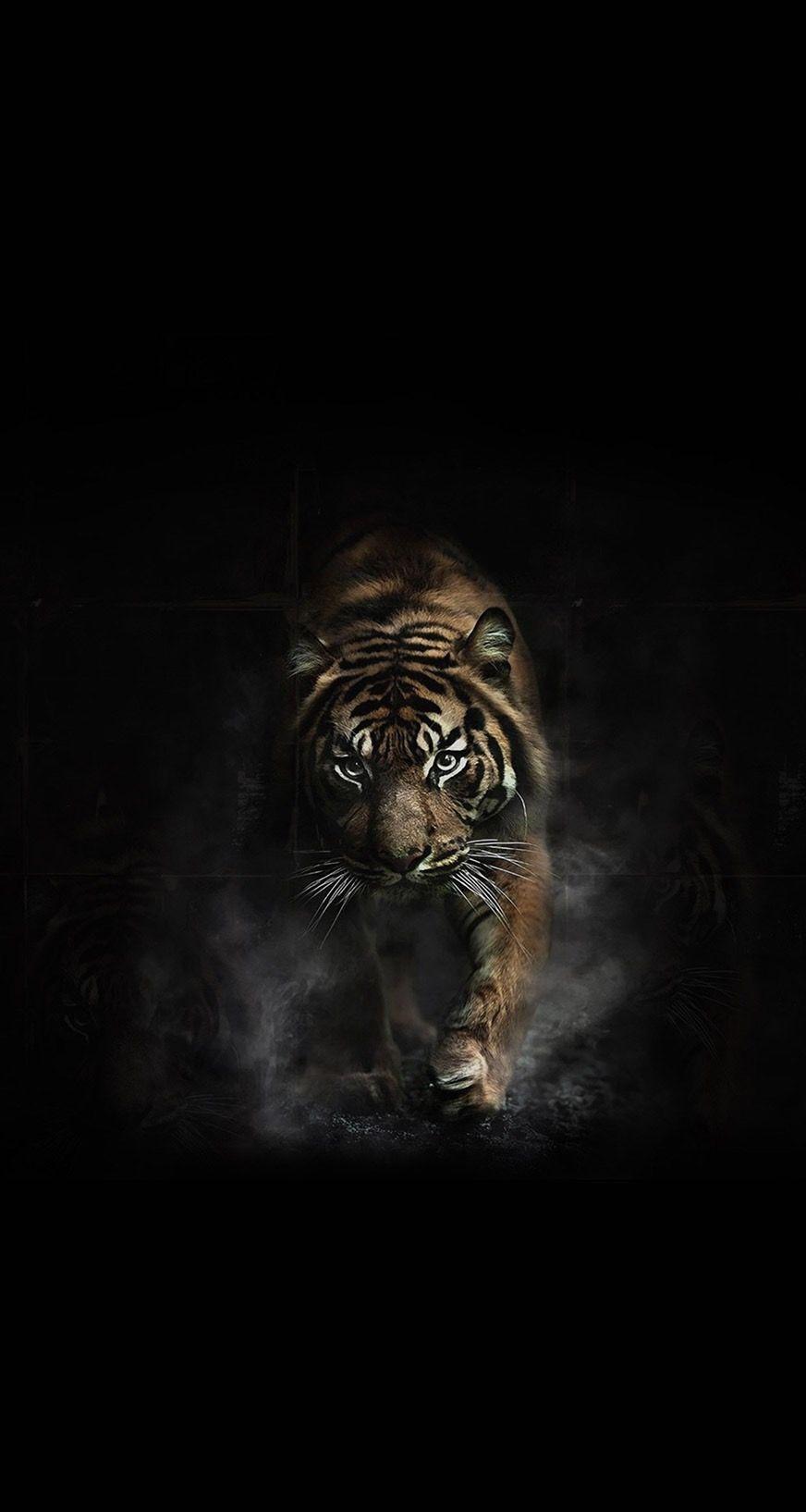 Download Unlock a bold new accessory in style with Tiger Phone Wallpaper   Wallpaperscom