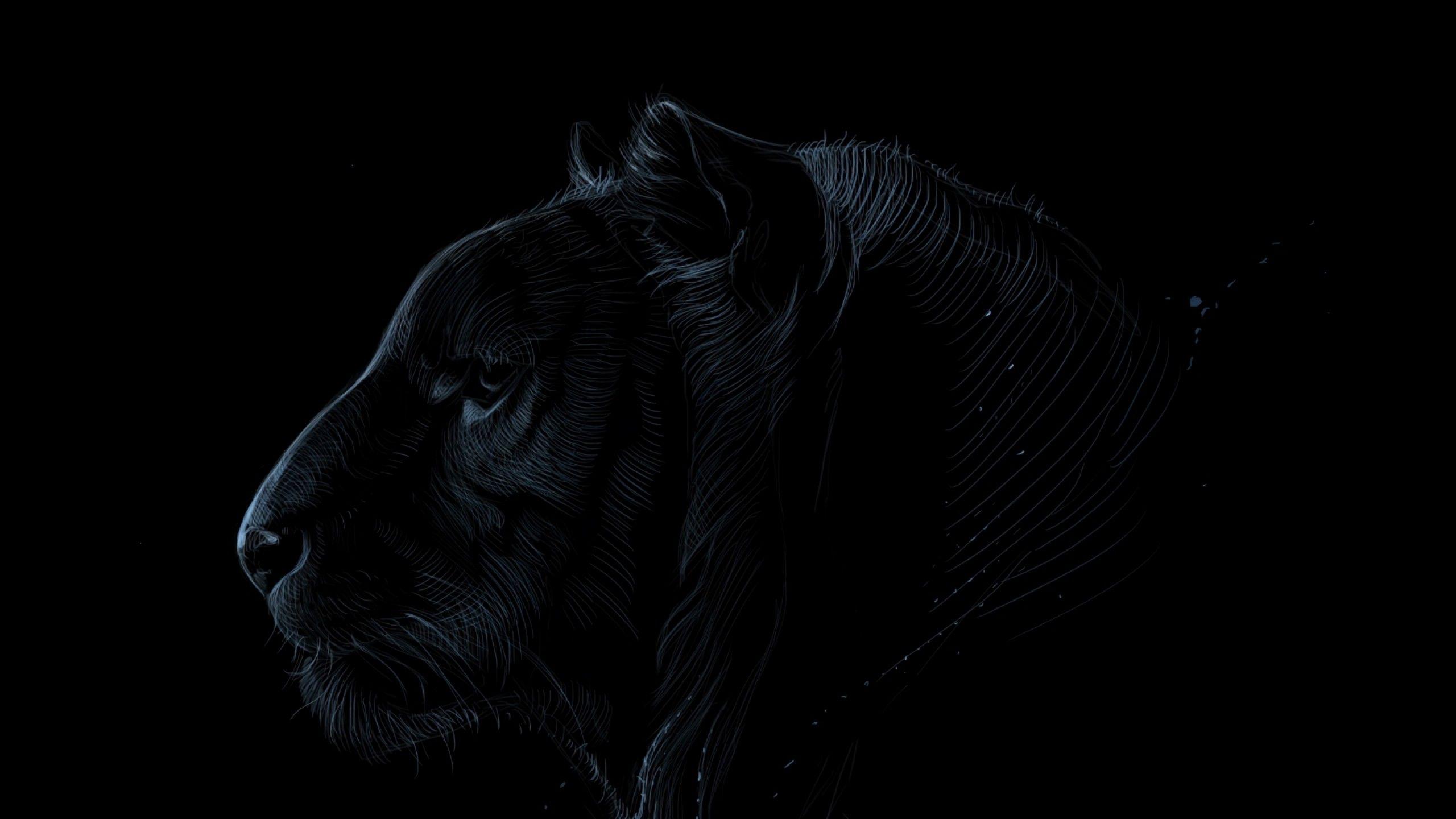 2560x1440 Dark tiger face HD Wallpaper Youtube Cover Photo Wallpaper