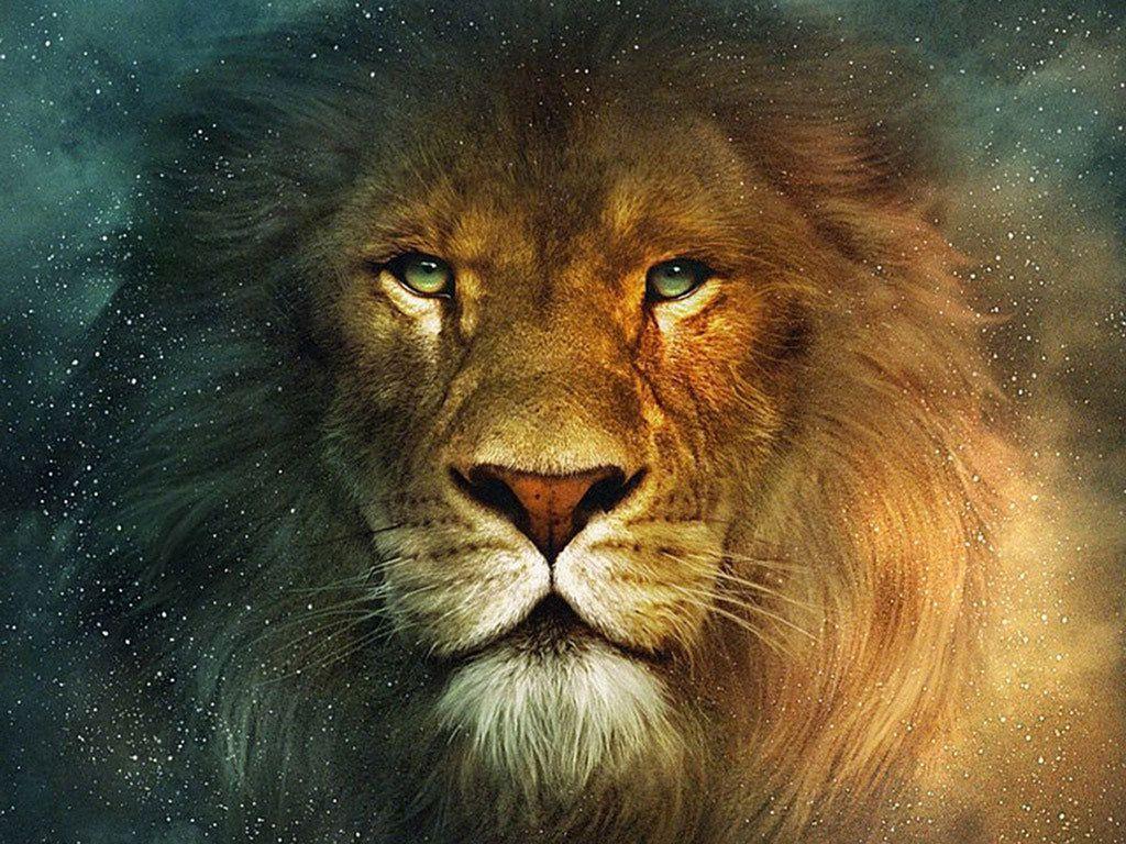 Aslan Narnia Lion Hd Wallpaper for Desktop and Mobiles Retina iPad