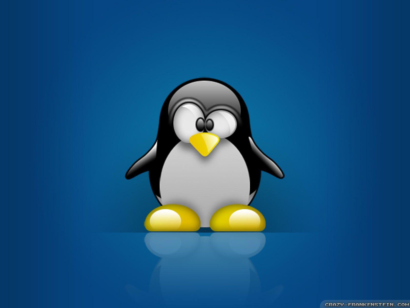 1600x1200 Free download 40 Tux Penguin Wallpaper Download