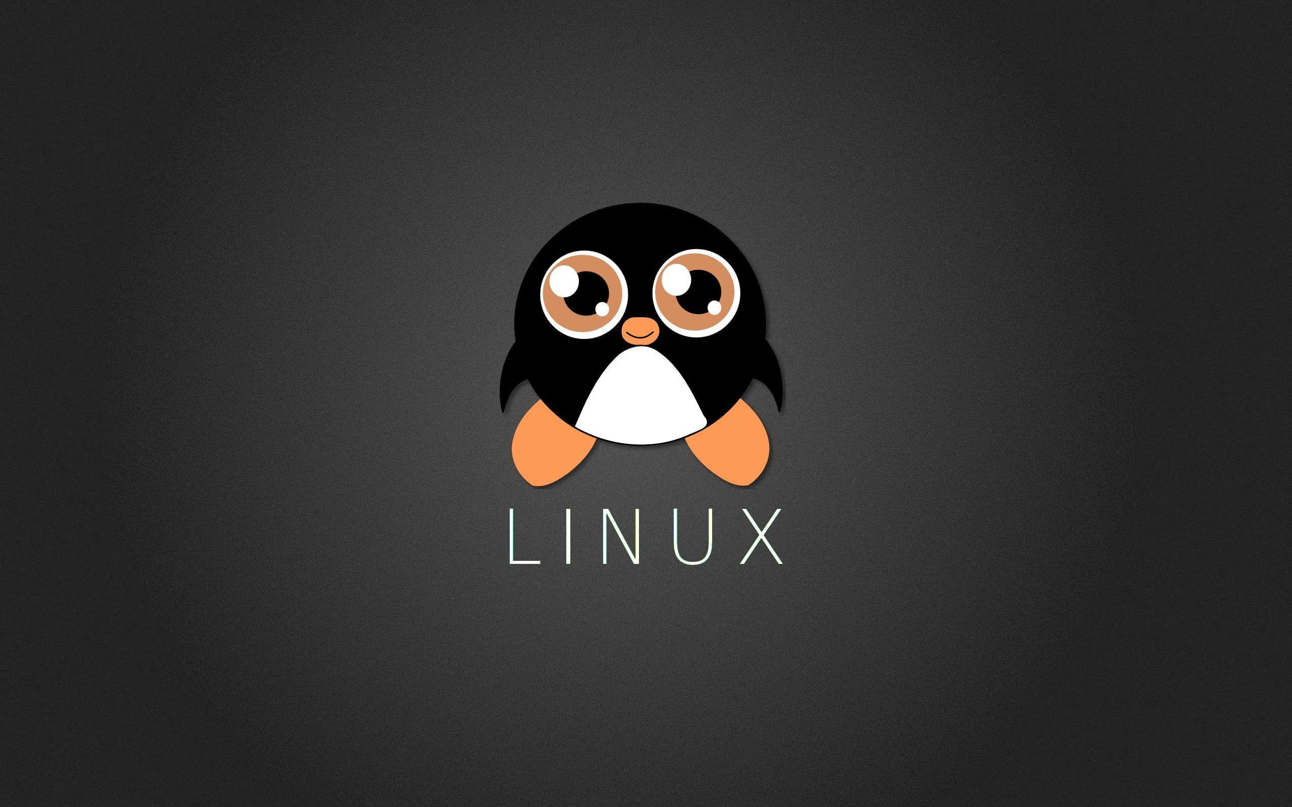 Linux Penguin Wallpapers - Top Free Linux Penguin Backgrounds ...