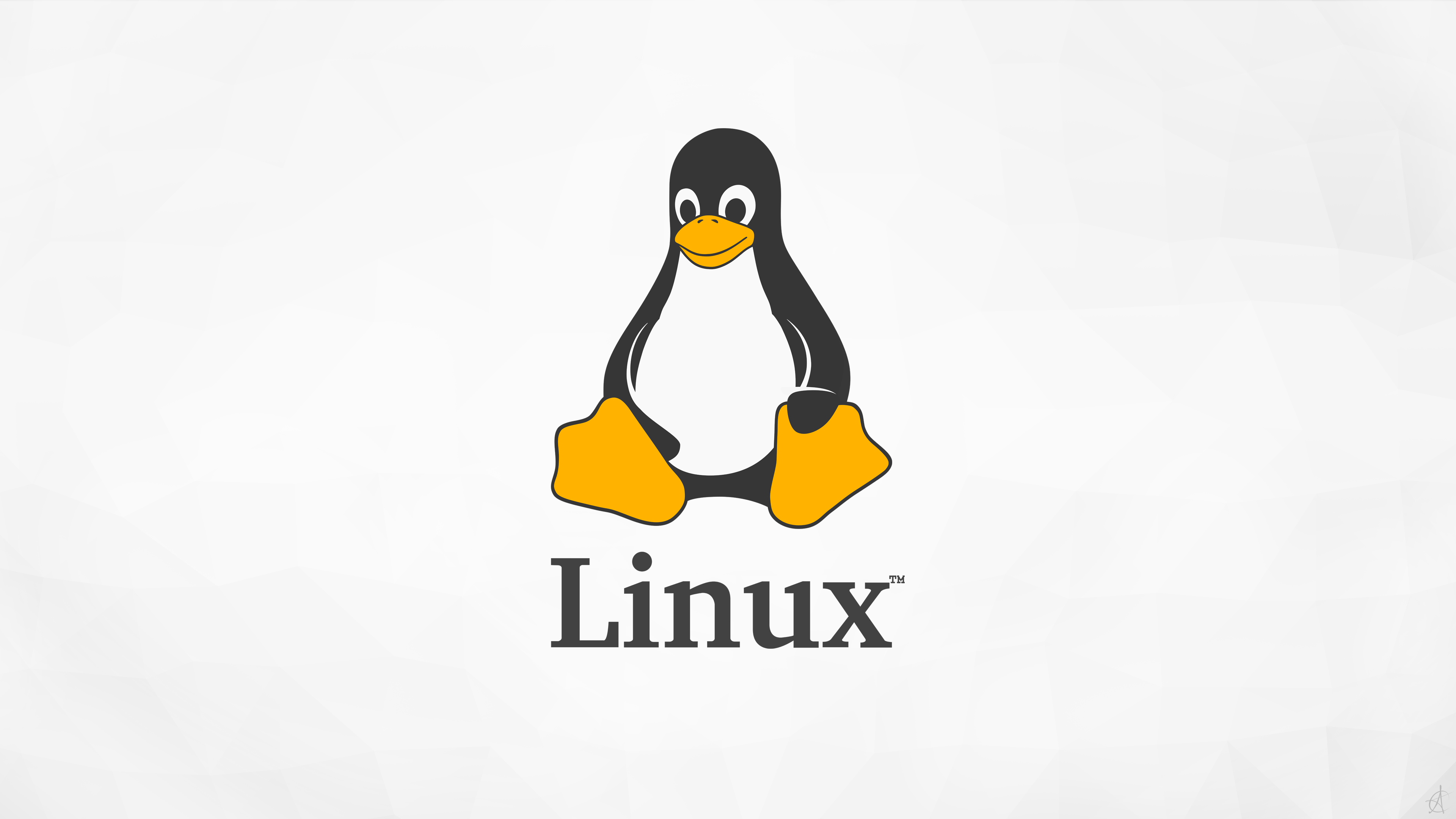 3840x2160 Tux Modern Wallpaper
