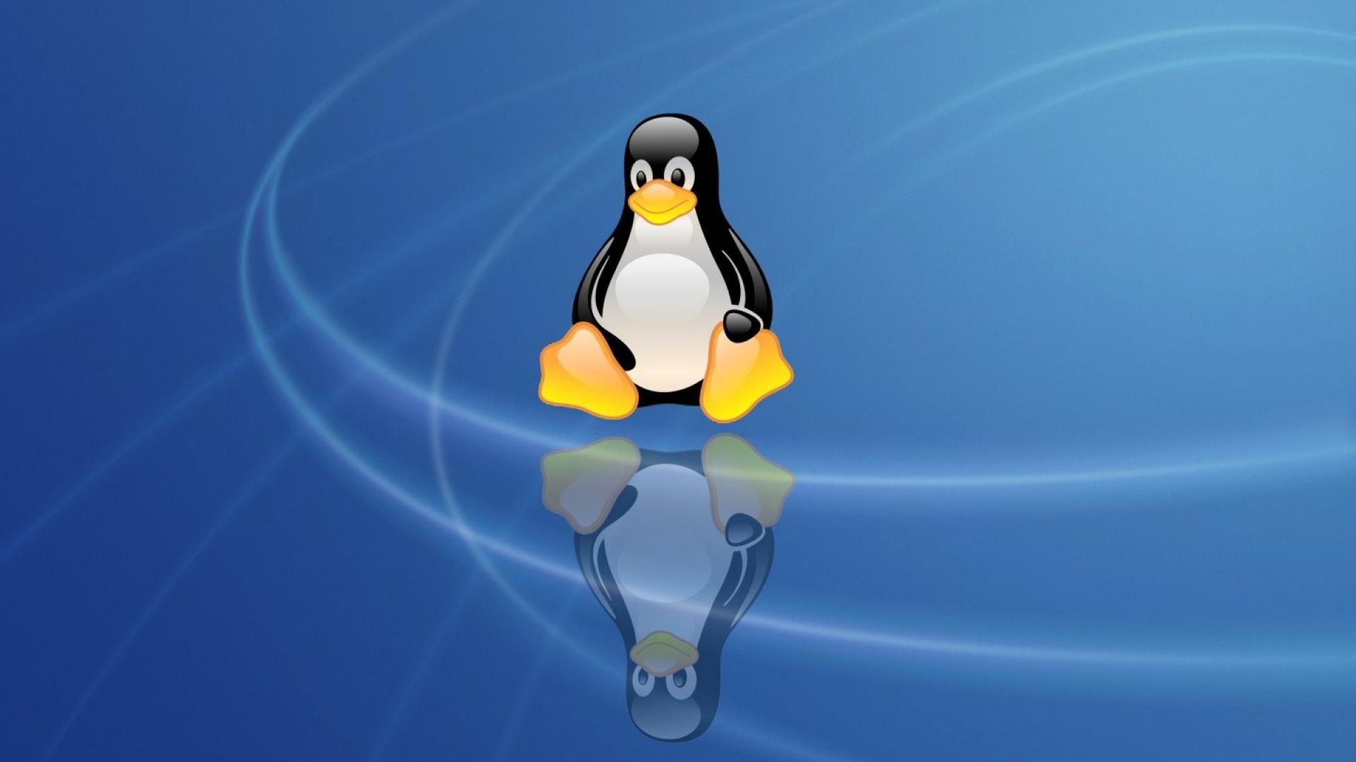 1920x1080 Free download 40 Tux Penguin Wallpaper Download