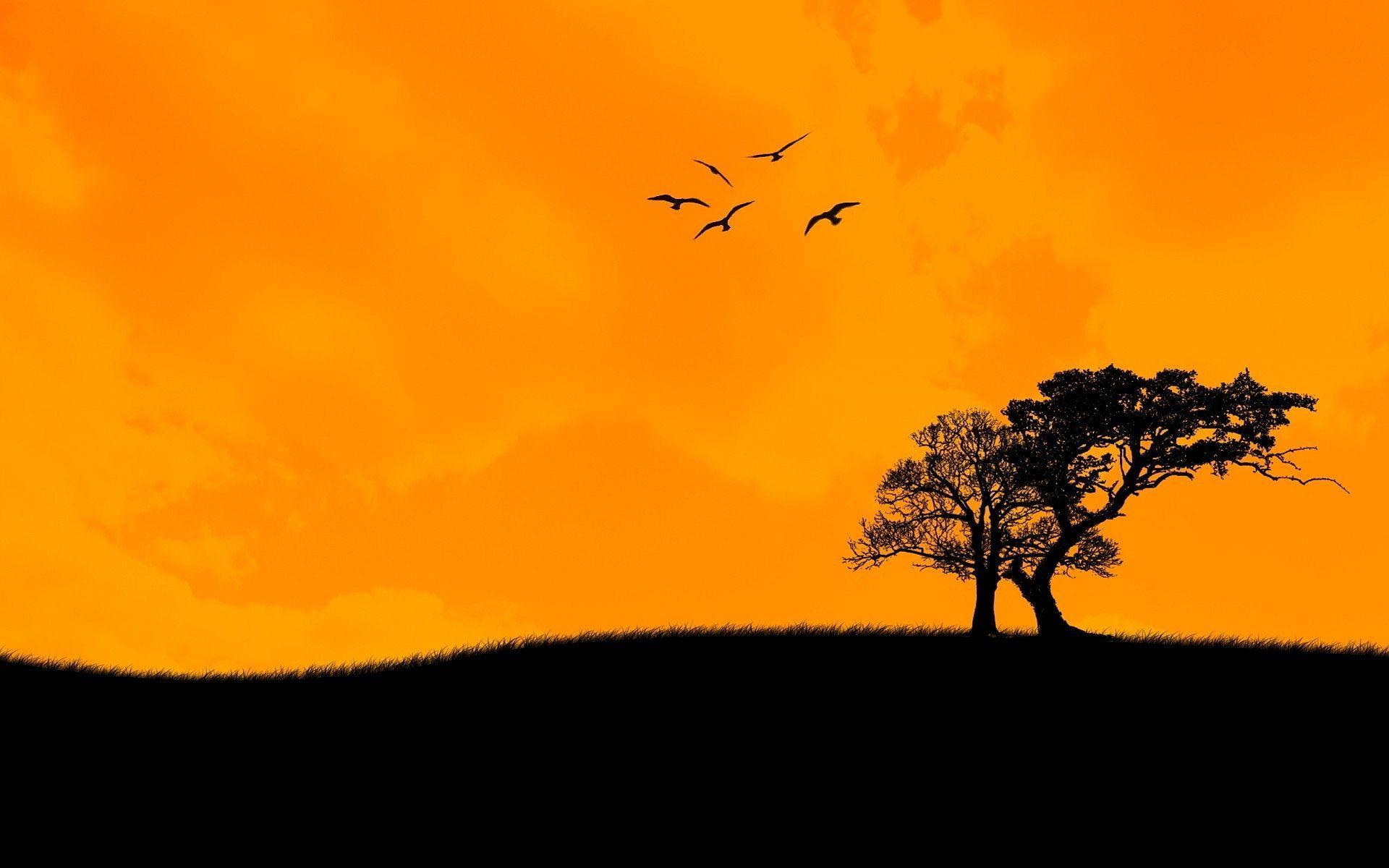 1920x1200 Sunset Art Background