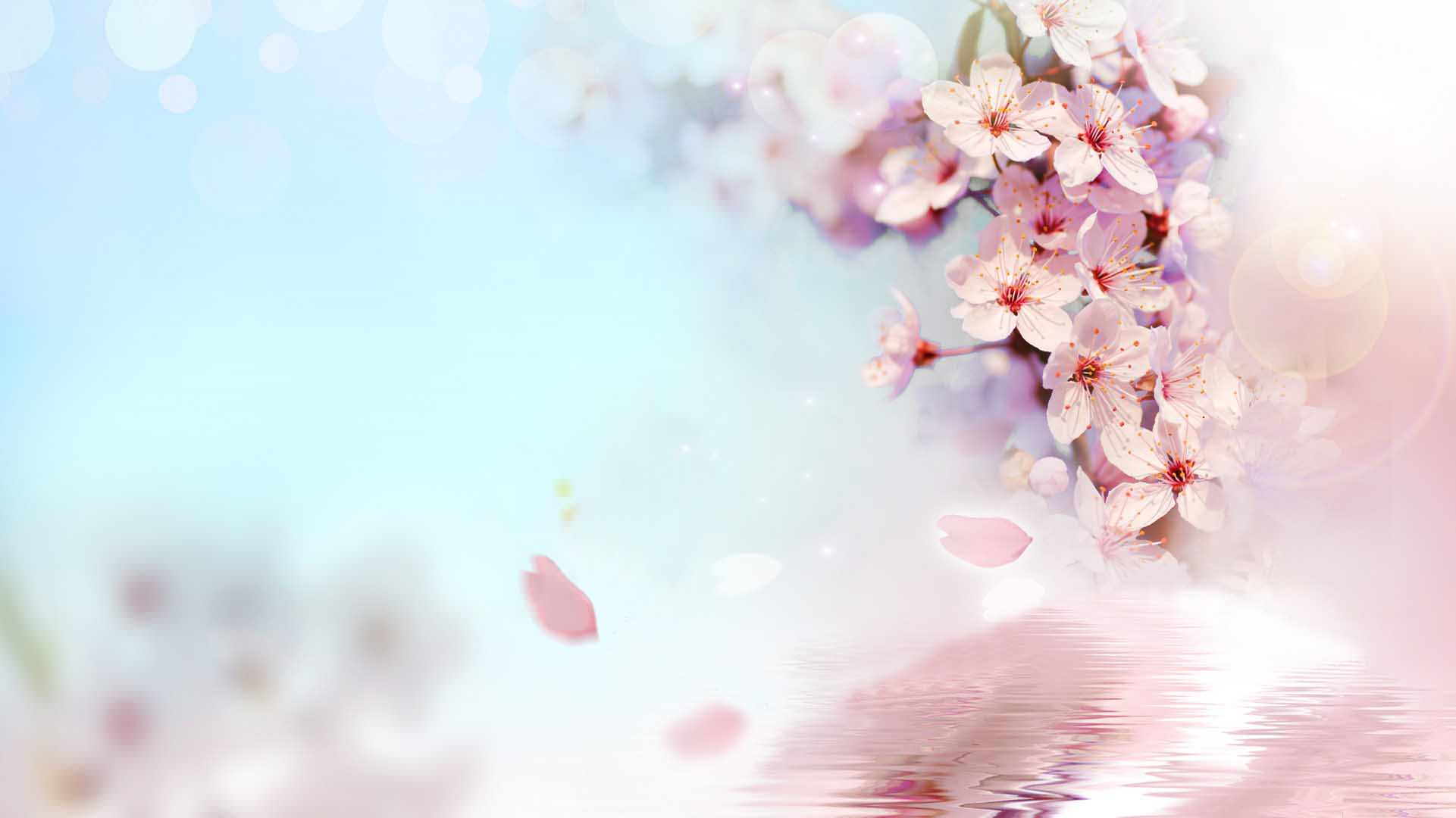 1921x1080 Peach Wallpaper