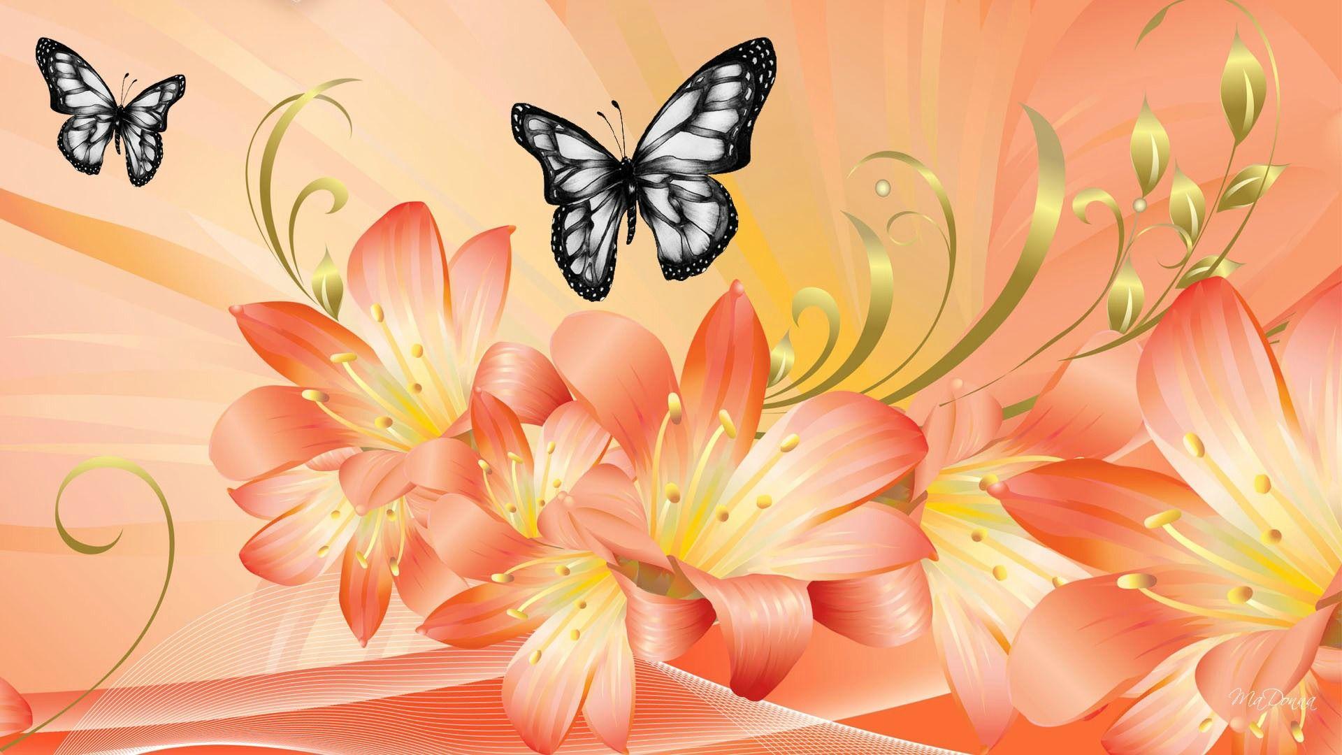 1920x1080 HDWP 42: Peach Collection Of Widescreen Wallpaper