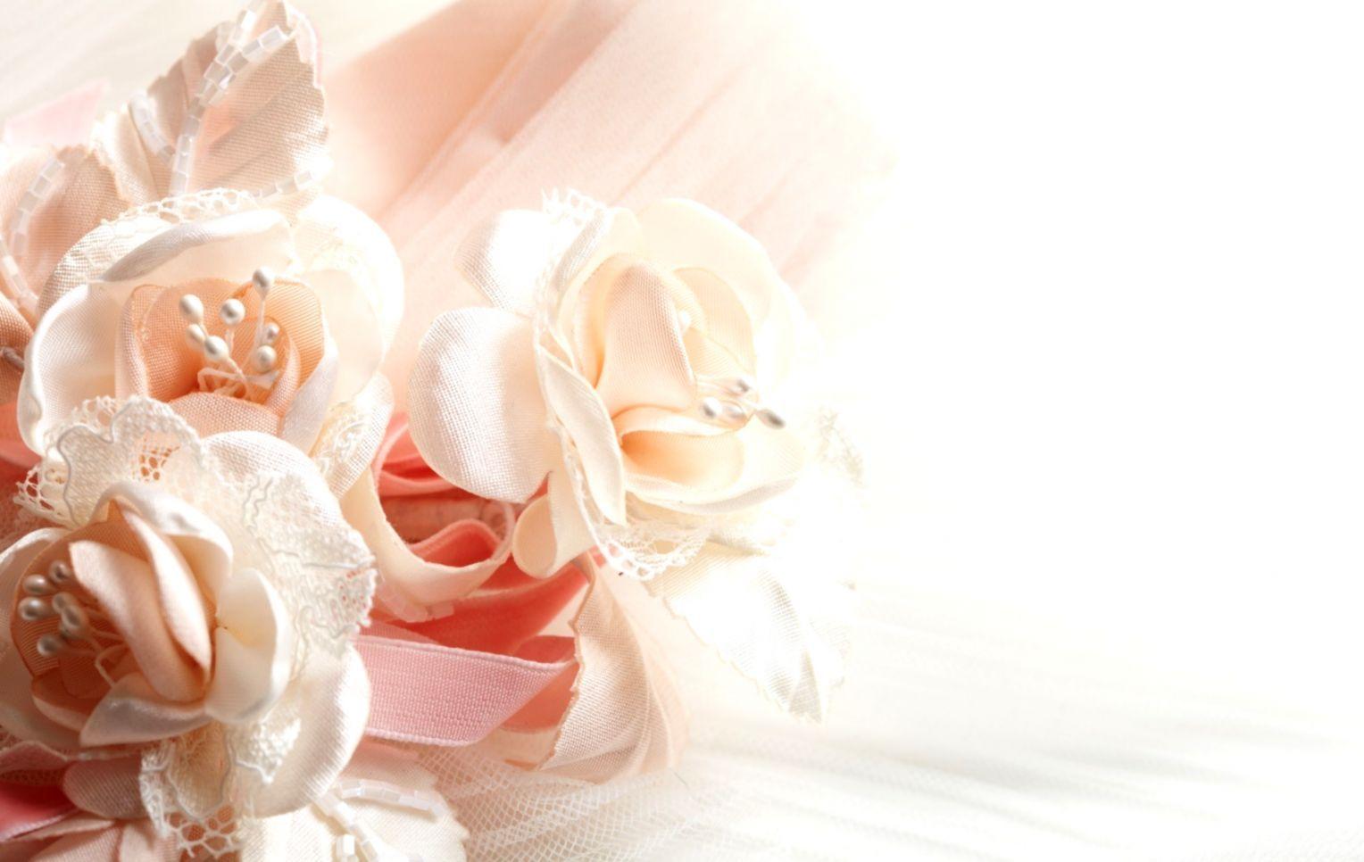 1528x966 Soft Purple Rose Flower Wallpaper