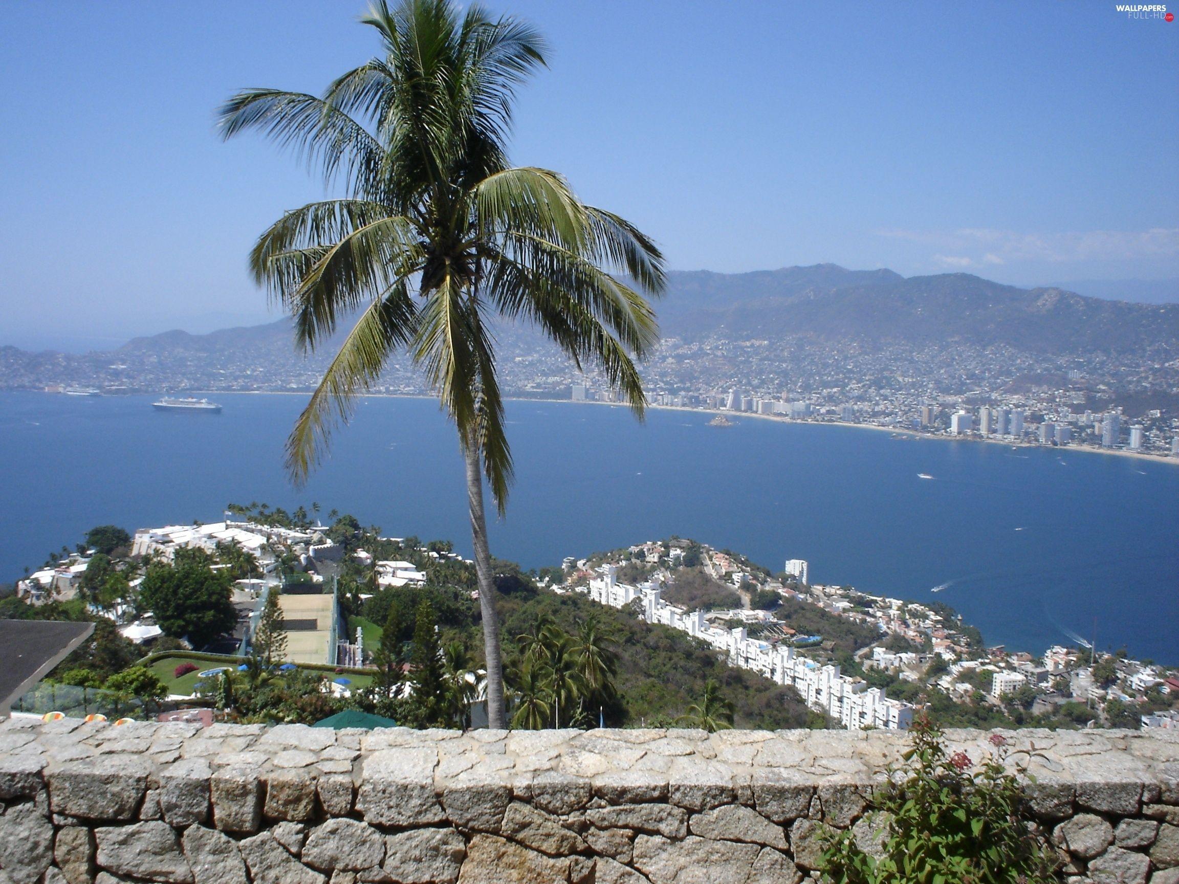 2304x1728 water, Palm, Acapulco, Mexico HD Wallpaper: 2304x1728