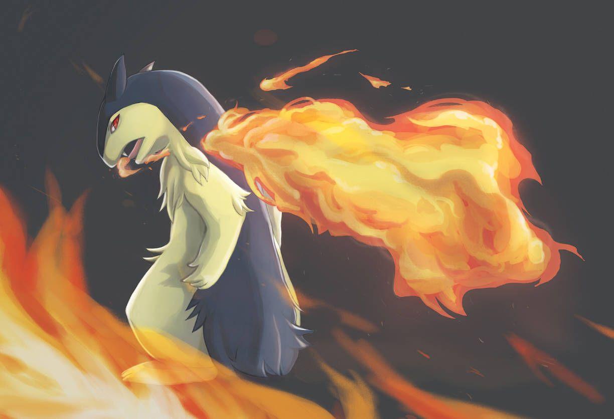 1224x836 Free download Typhlosion Wallpaper HD Wallpaper Download