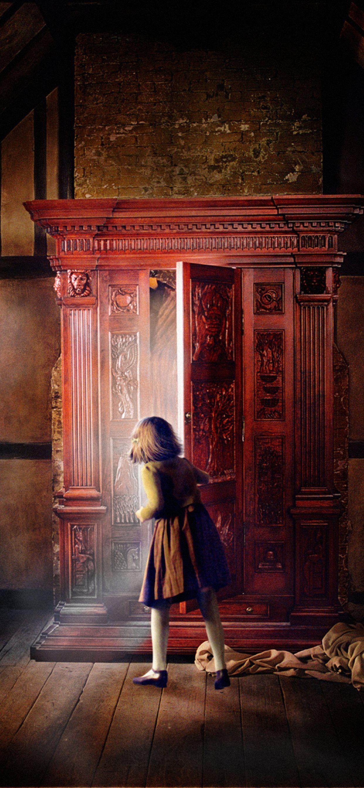 1242x2688 narnia door iPhone Wallpaper Free Download