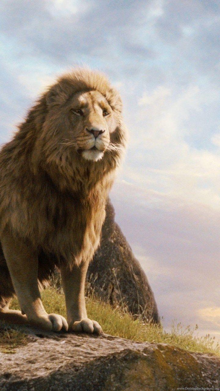 720x1280 Narnia Lion Aslan Wallpaper Desktop Background