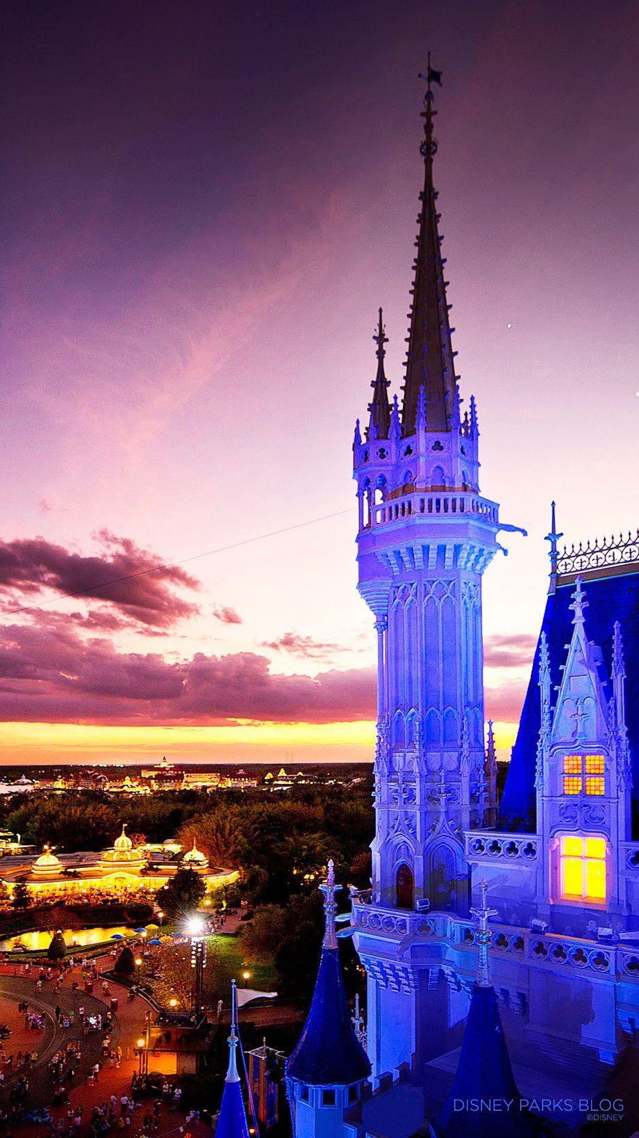 920x1636 Disney Castle. Phone Wallpaper.co.uk