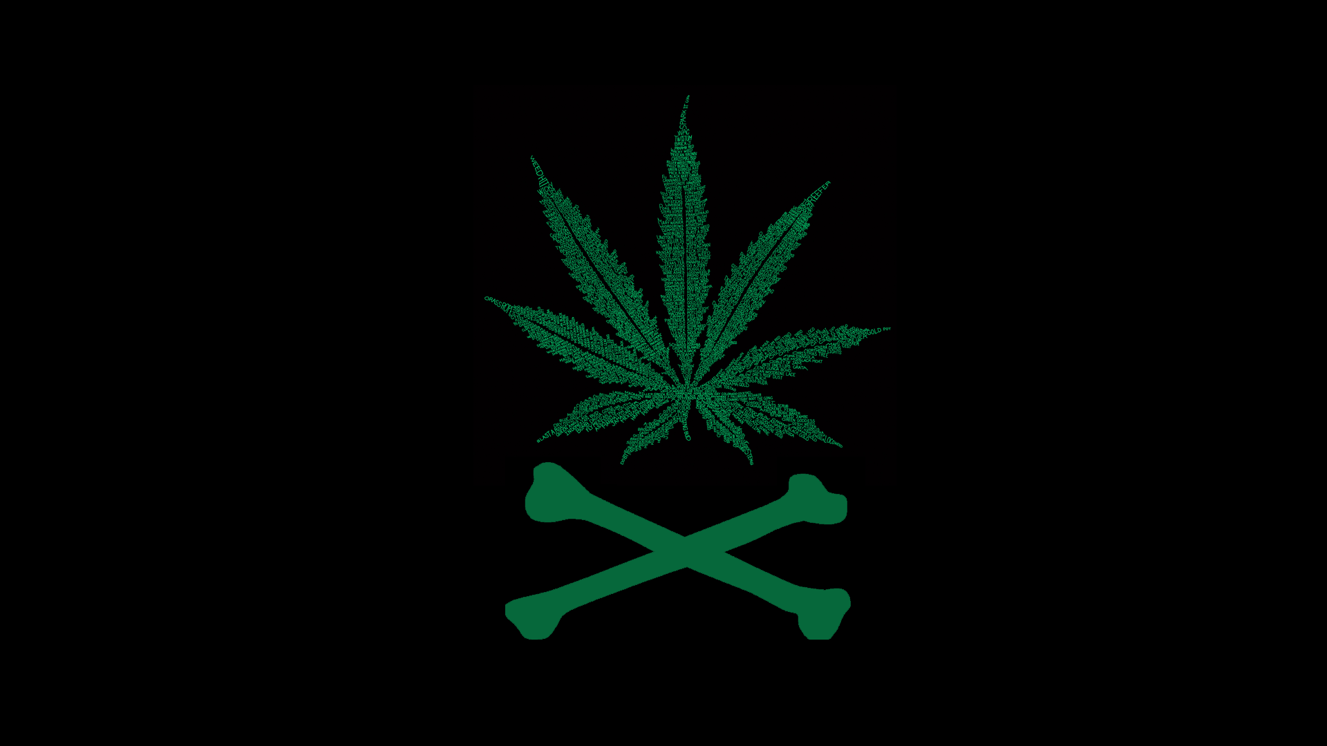 1920x1080 Pot Wallpaper