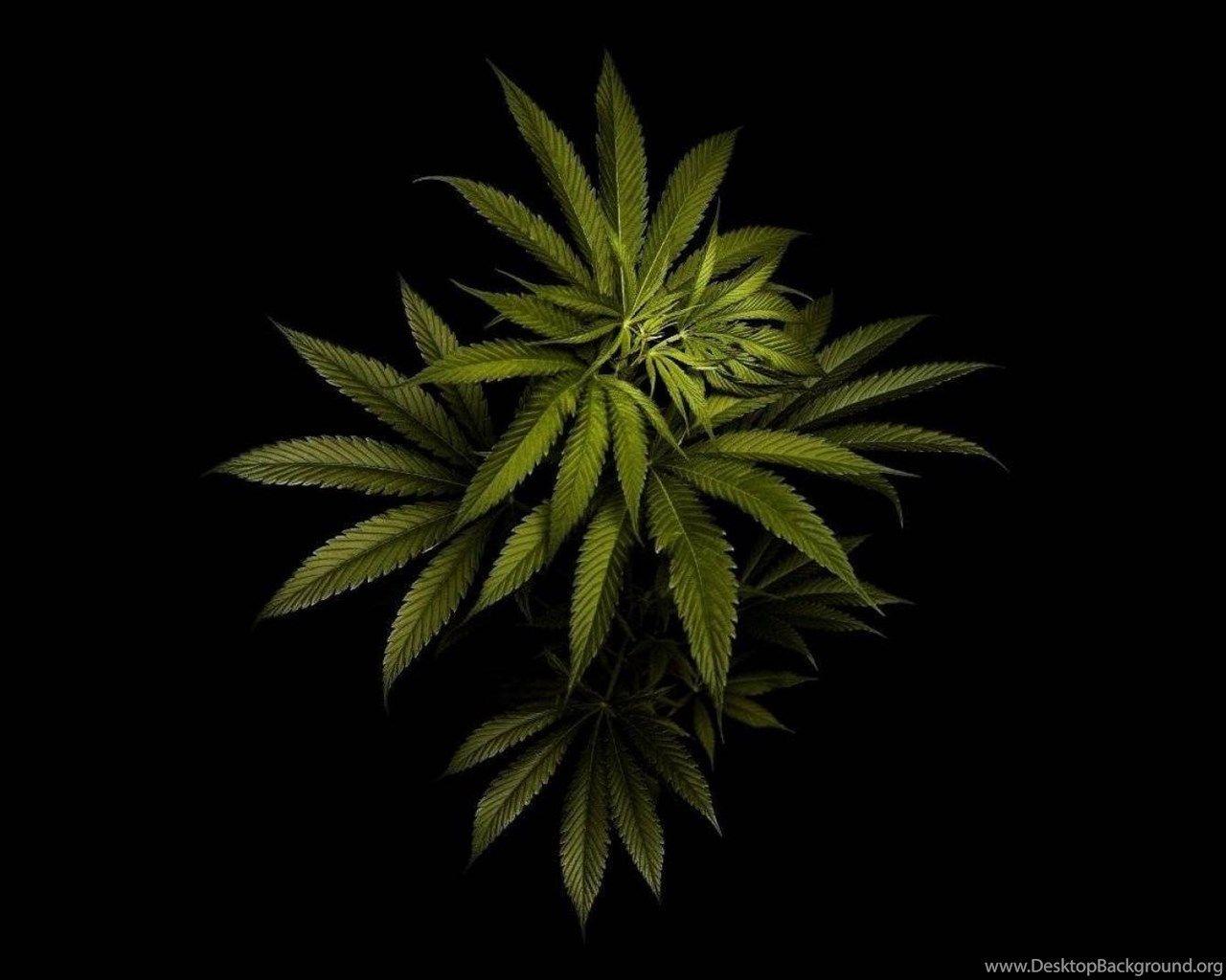 1280x1024 FULL HD / 1920x1080 / Marijuana Wallpaper And Desktop Background