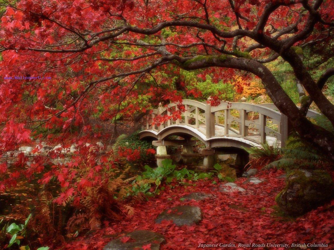 1152x864 Download Japanese garden HD nature wallpaper for your mobile cell phone