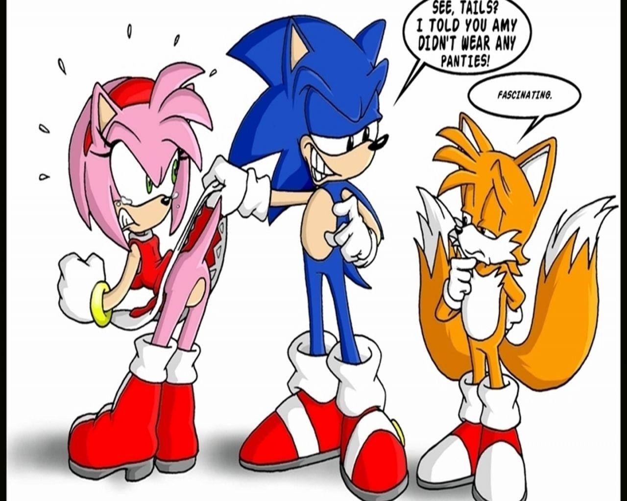1280x1024 Free download Sonic Tails Amy Fascinating Funny 1440 x 1280
