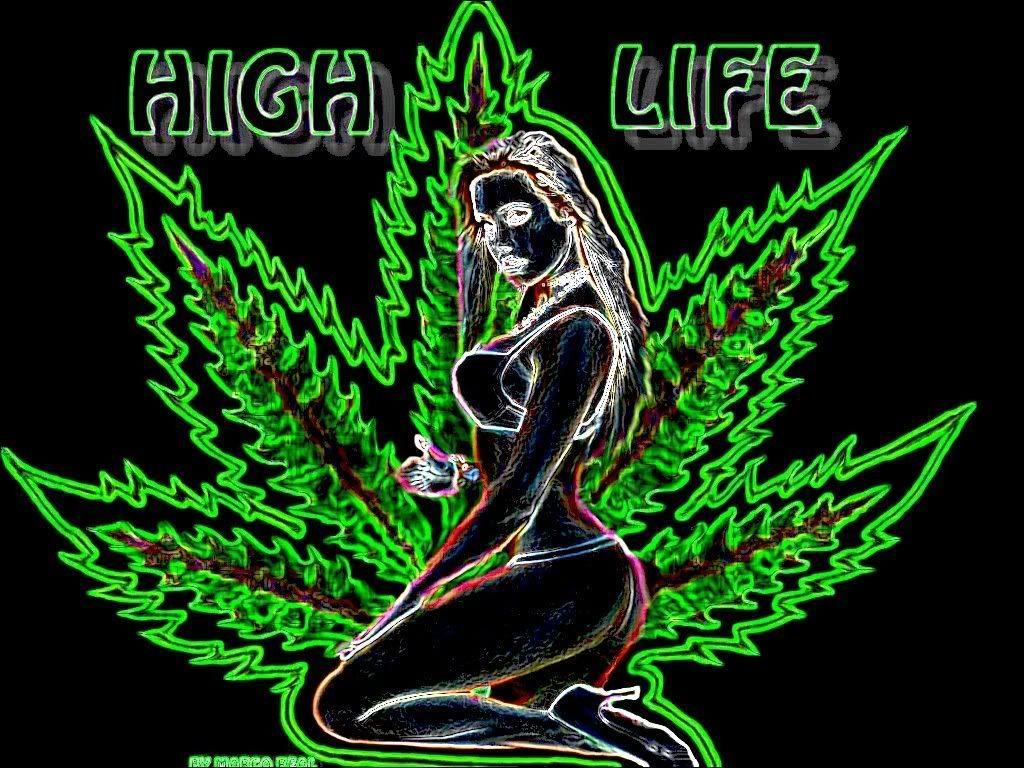 1024x768 Gangsta Females and Weed Background