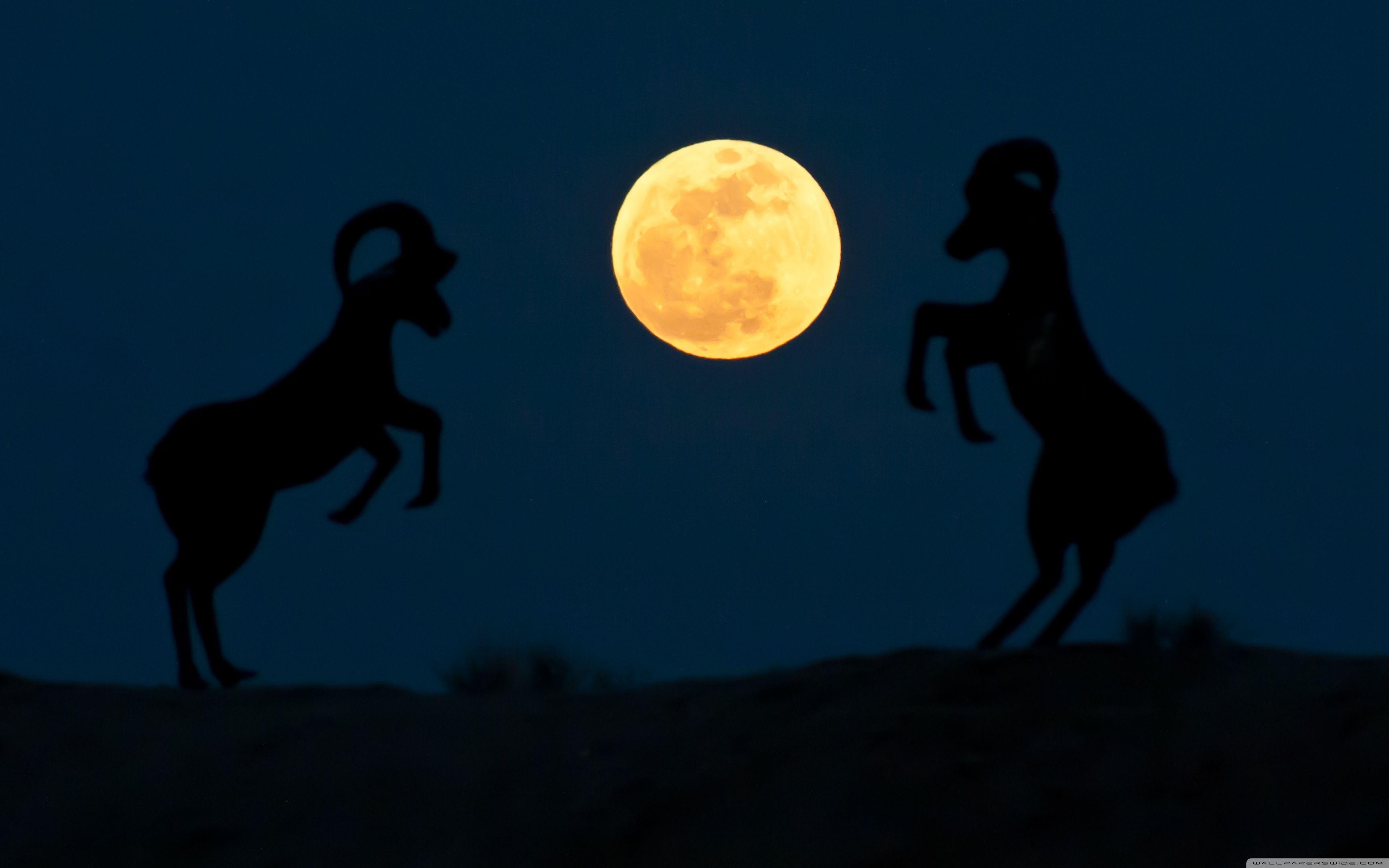 3840x2400 Super Moon Night ❤ 4K HD Desktop Wallpaper for 4K Ultra HD TV