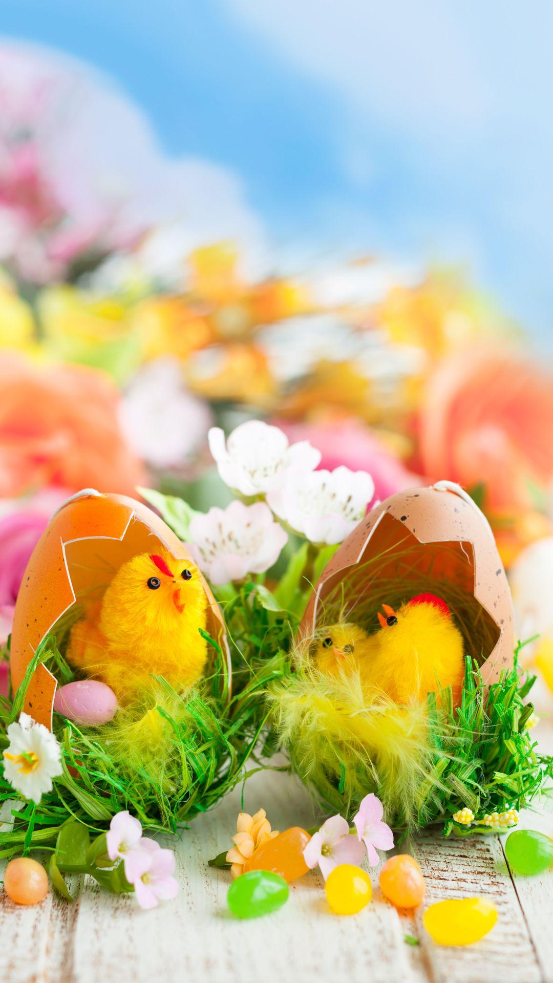 10 Cute and Free Easter Wallpapers for iPhone  Guiding Tech
