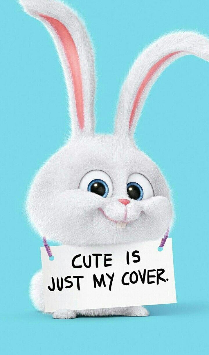 720x1218 iPhone Wallpaper. Rabbit, Rabbits and Hares, Whiskers, Easter