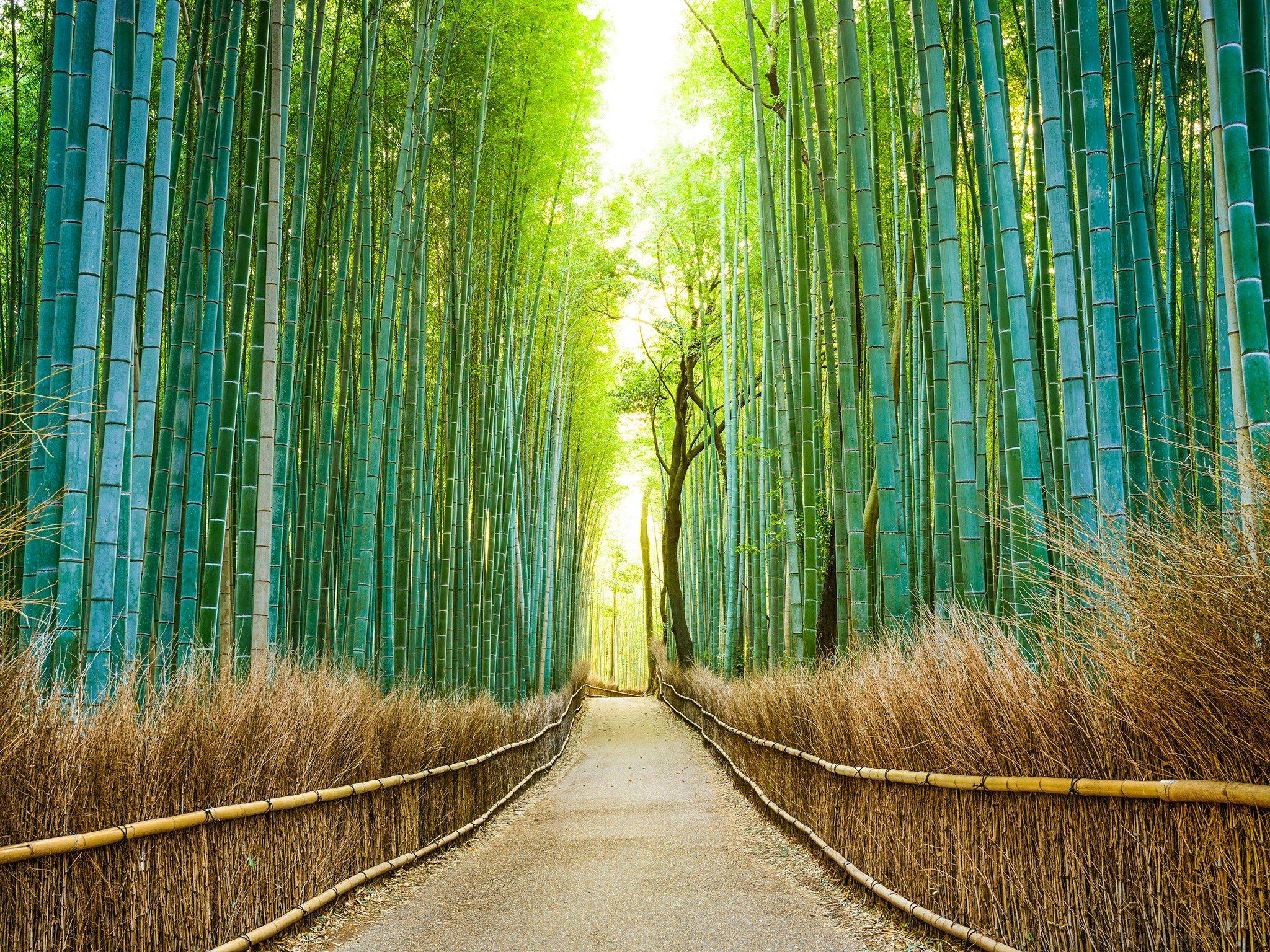 2048x1536 Most Beautiful Places in Japané Nast Traveler