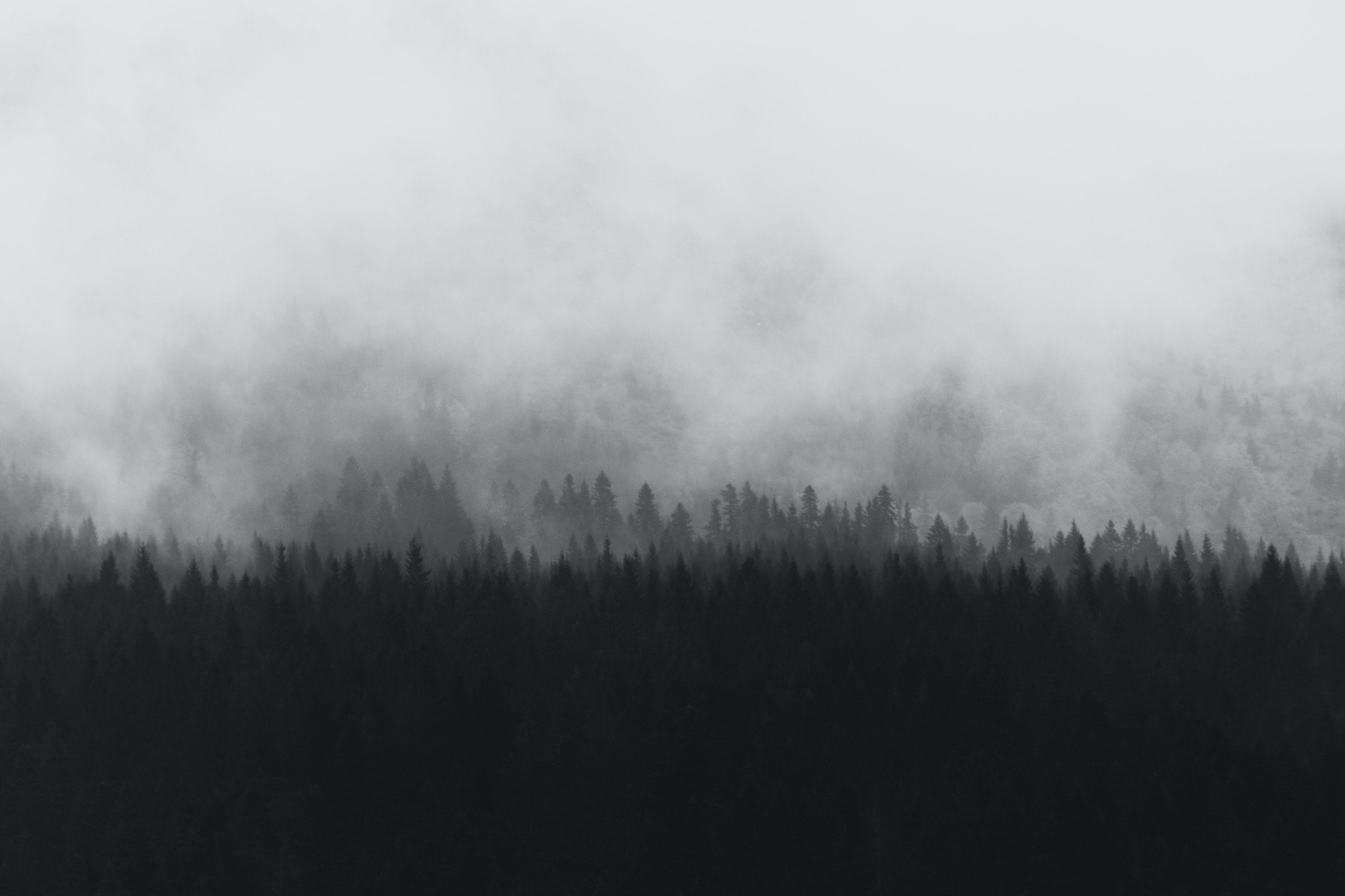 4922x3281 Grey Wallpaper: Free HD Download [HQ]
