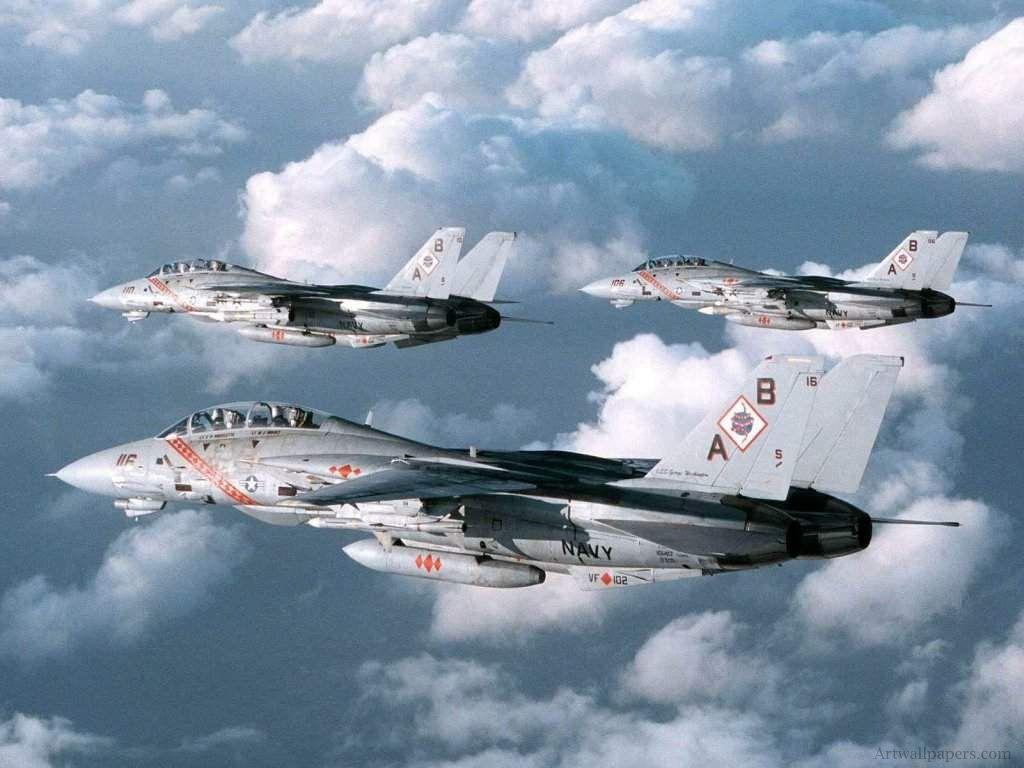 1024x768 Tomcat Wallpaper. Tomcat Wallpaper, F 14