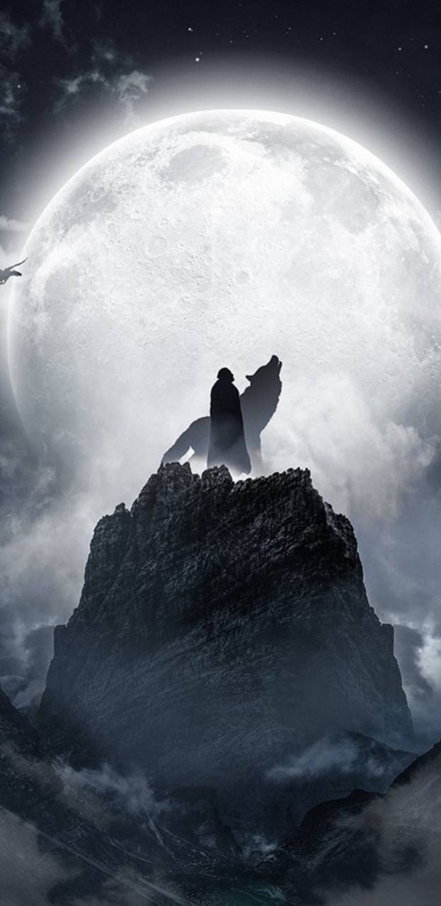 623x1280 Game of Thrones wallpaper