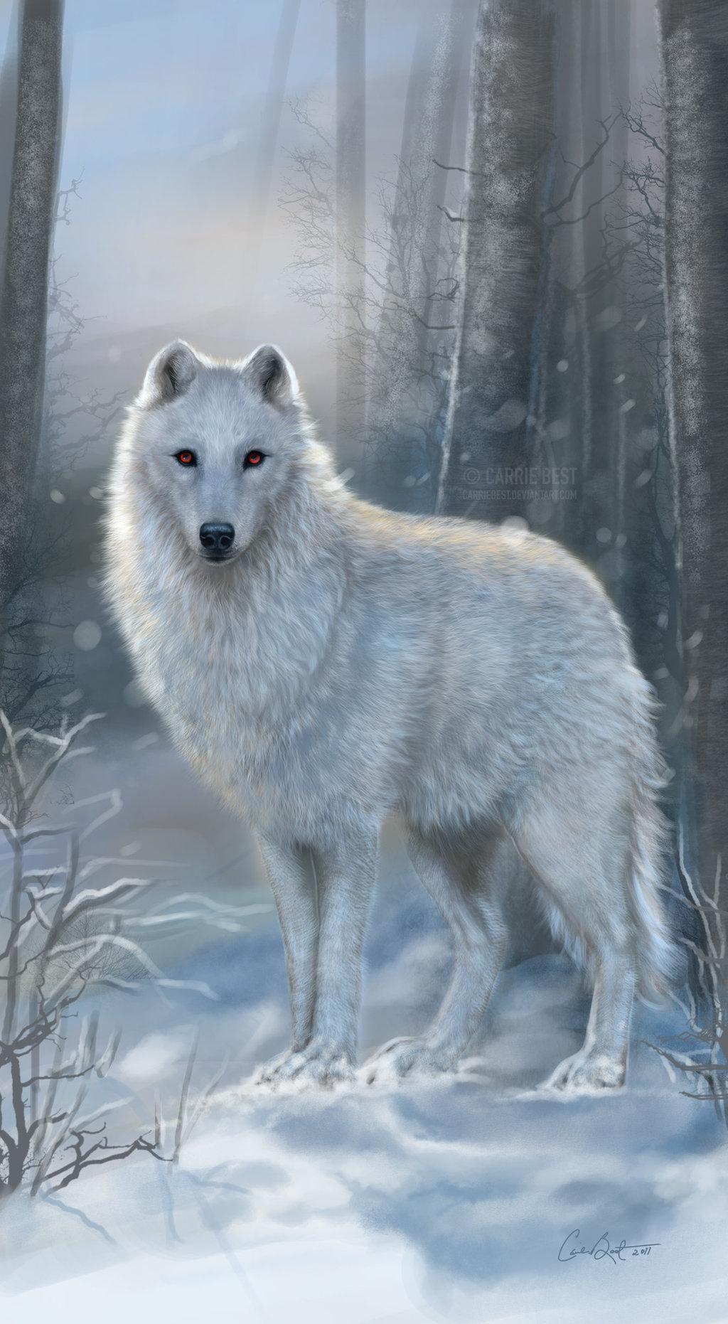 1024x1862 Haunted Wolf Wallpaper
