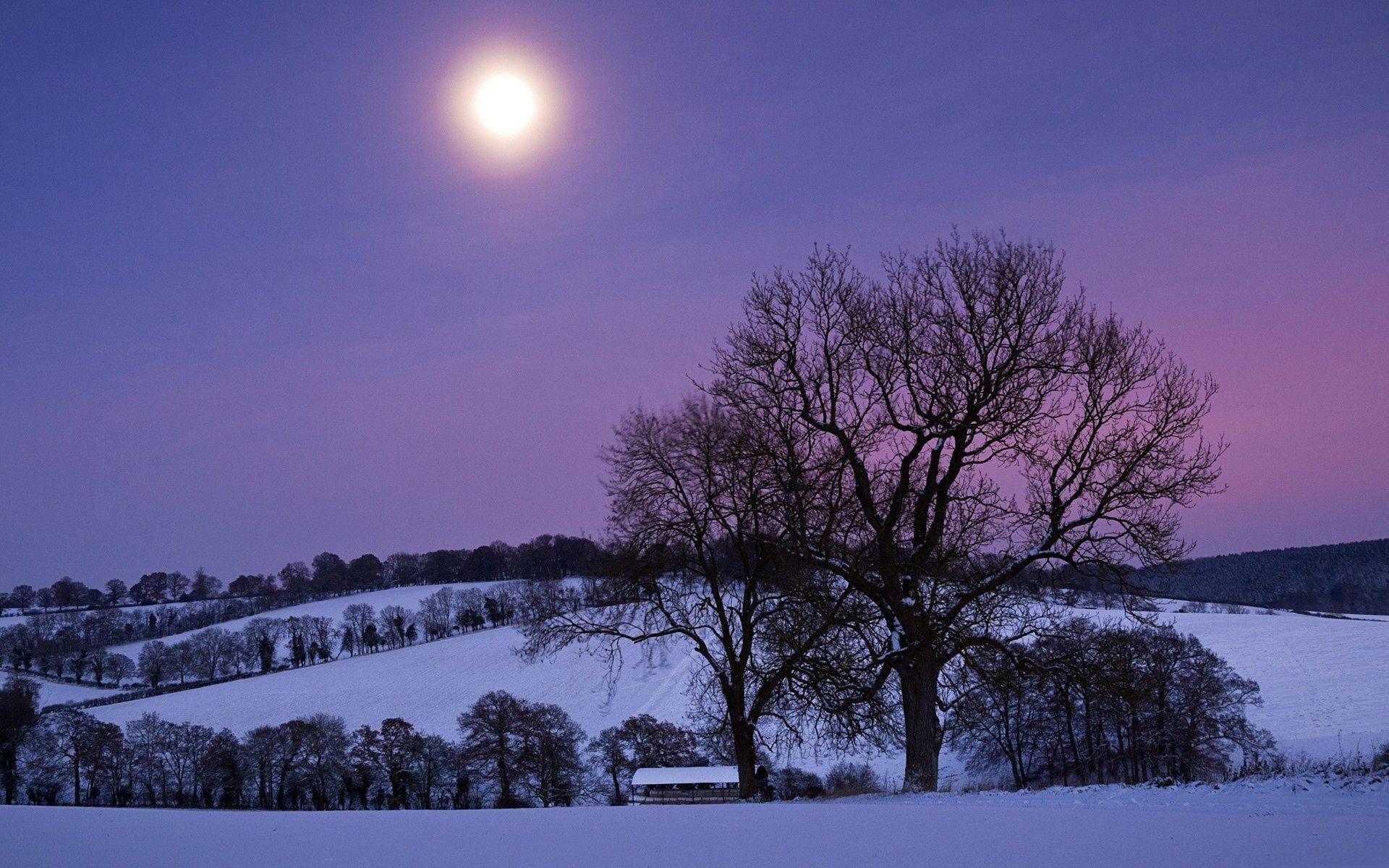 Moonlight Landscape Wallpapers - Top Free Moonlight Landscape