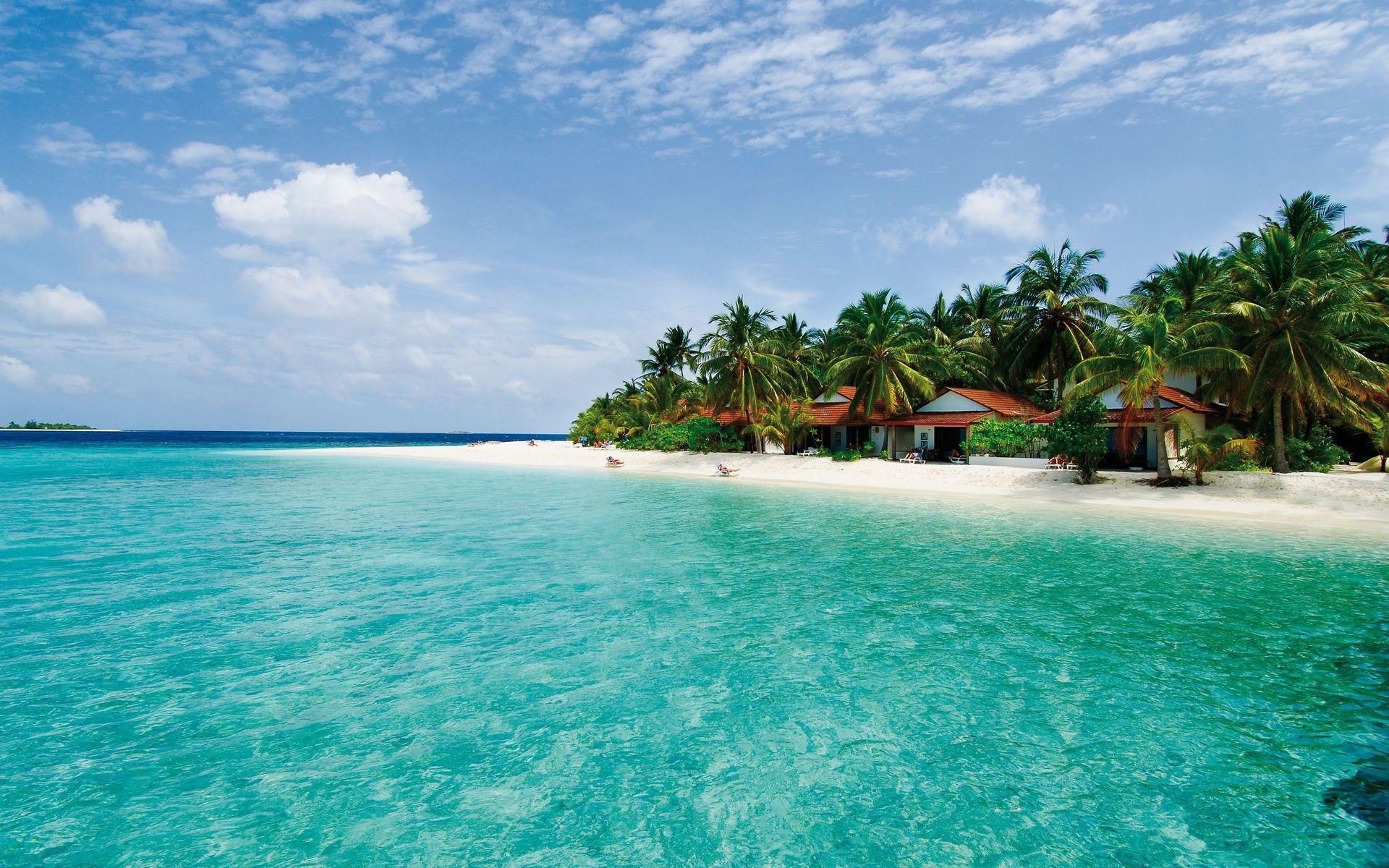 1920x1200 maldives, Island, Sea, Palm, Trees, Beach, Landscape, Ocean