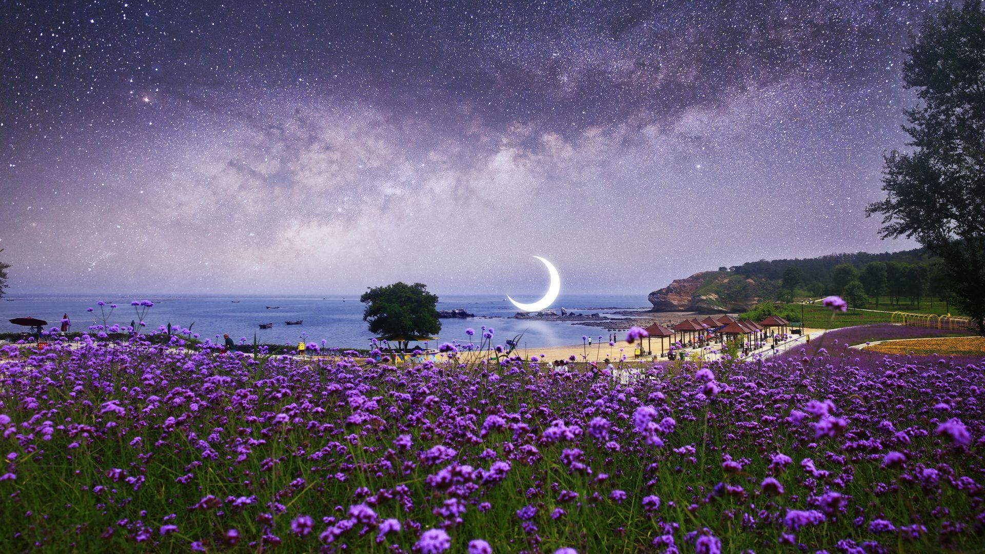 1920x1080 Download Beach, flowers, farm, milky way, surreal, photohop