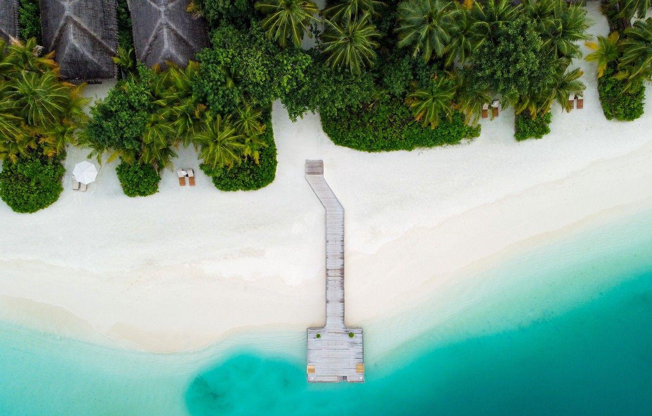 1332x850 Wallpaper palm trees, 2k HD background, plants, aerial view, beach