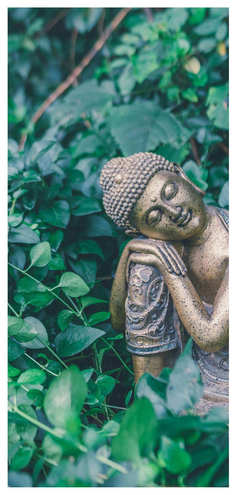 808x1692 mobile phone wallpaper for the sleeping in the forest background
