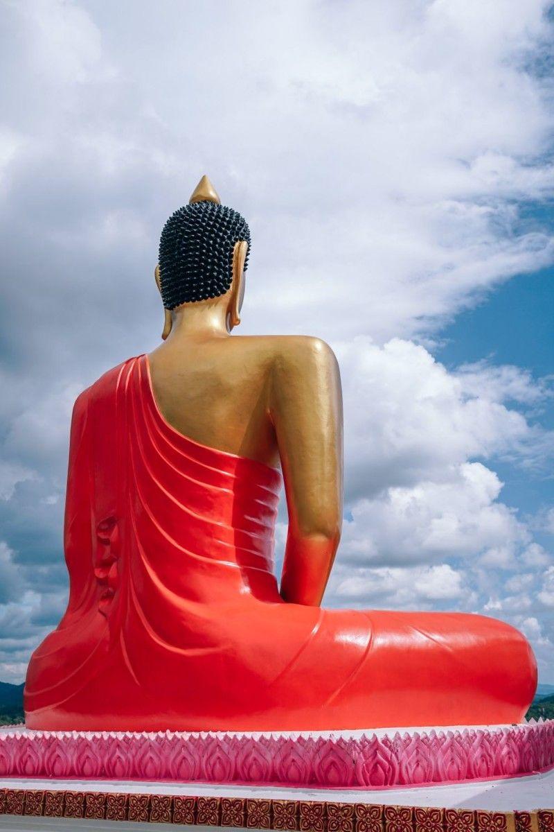 800x1200 Hi Res Buddha Photo That Will Amaze .