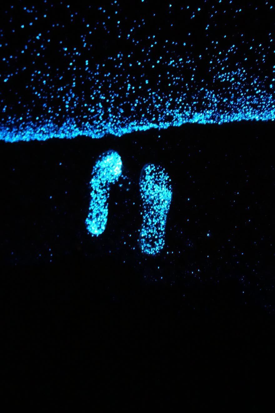 880x1320 Maldives Beach Looks Like Starry Night Sky