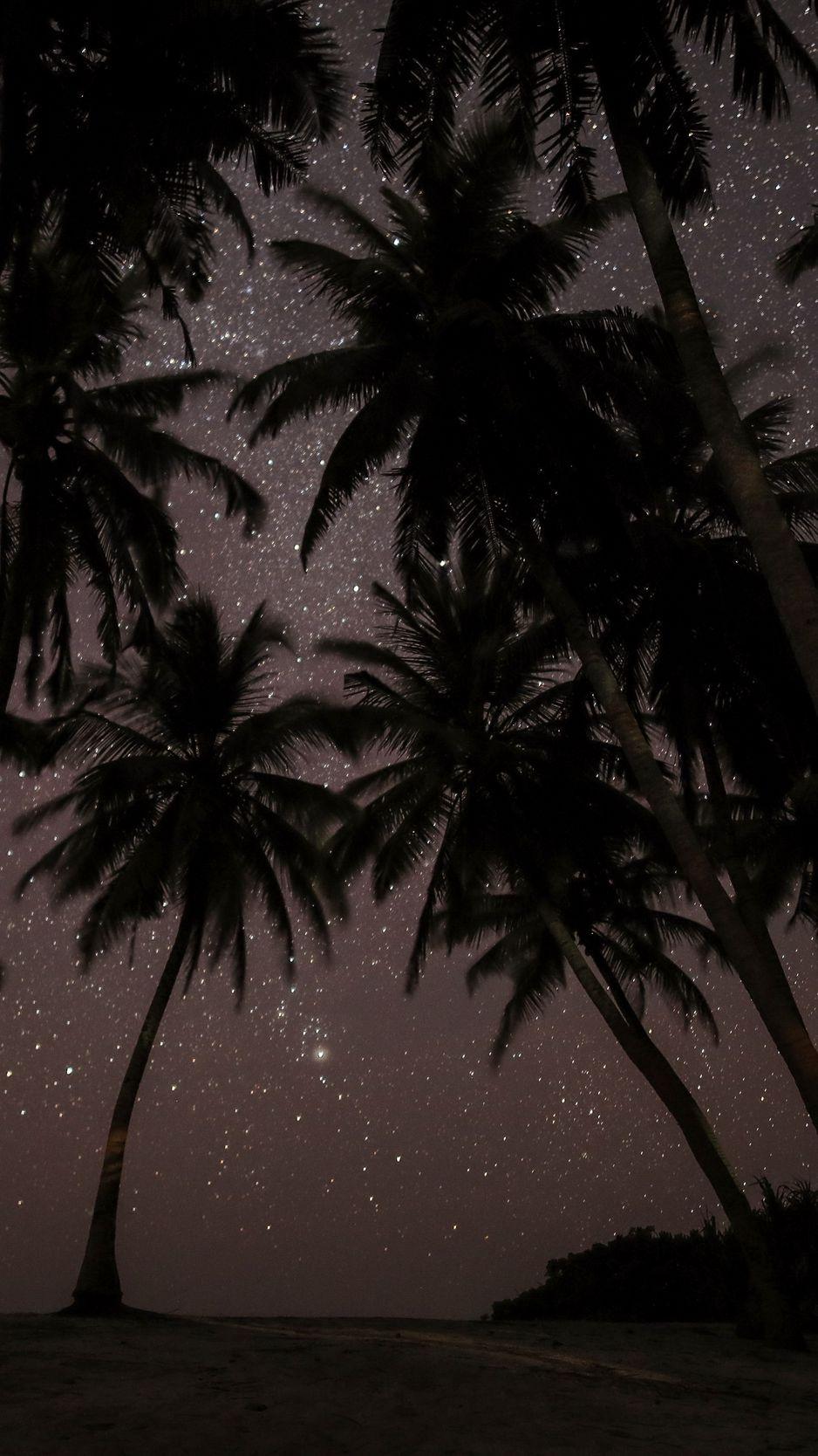 938x1668 Download wallpaper 938x1668 palms, starry sky, tropics, maldives