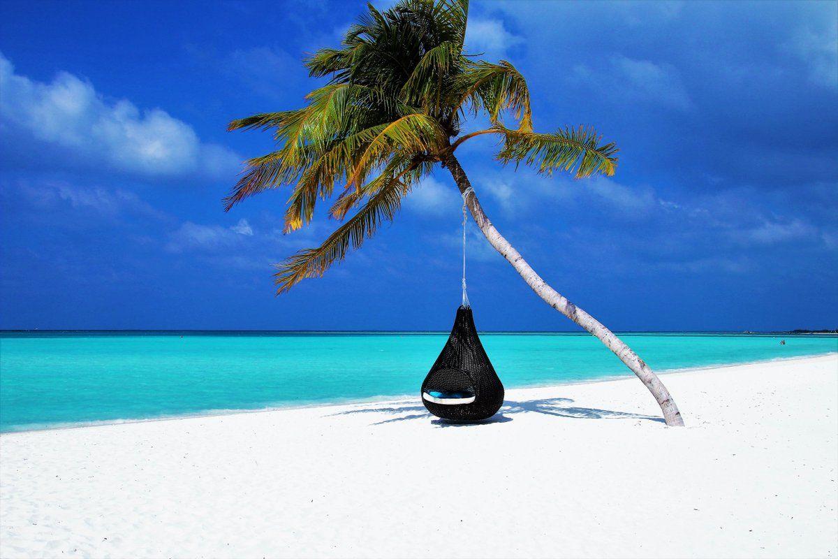1200x800 Get HD Walls #Tree on #Beach Maldives HD