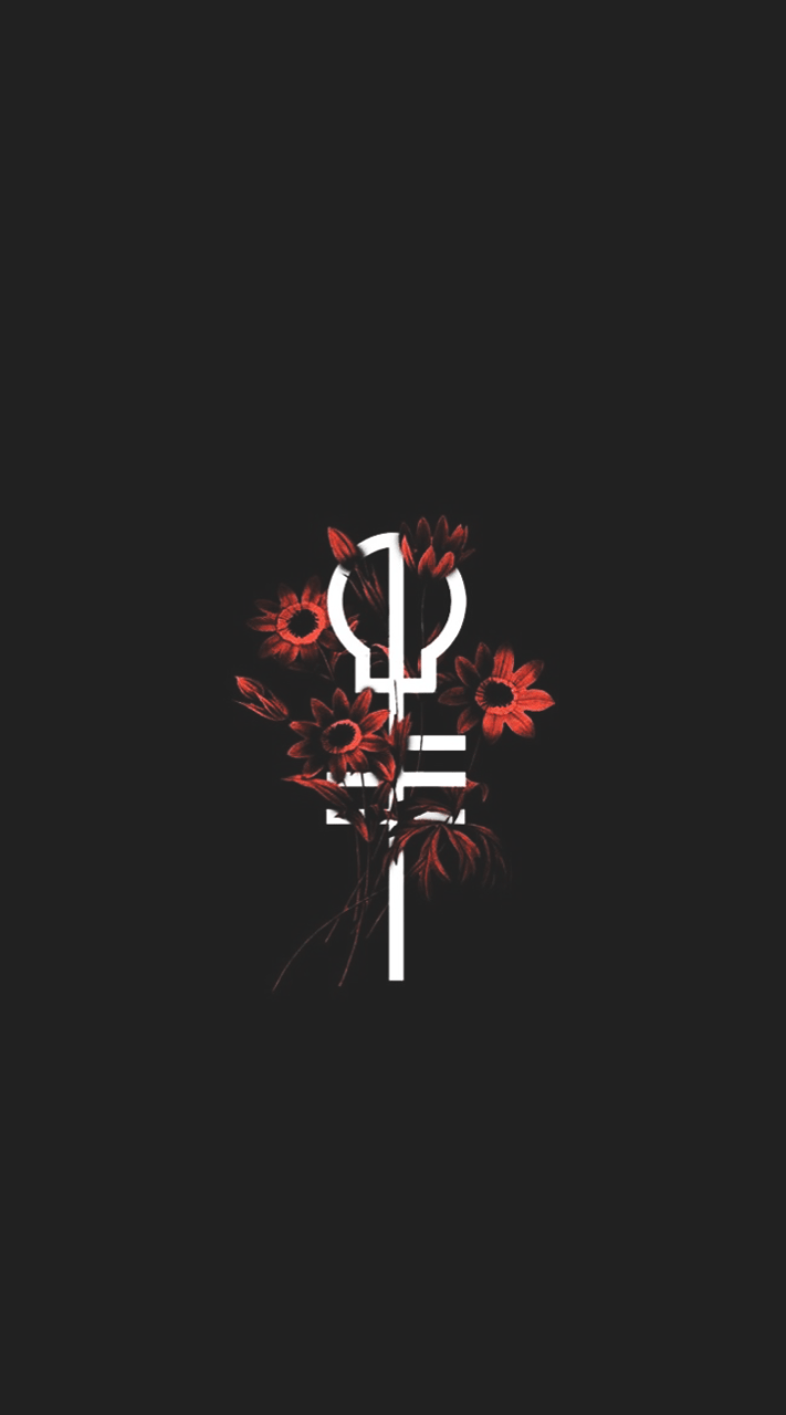 711x1280 twenty one pilots. Twenty one pilots, Pilot