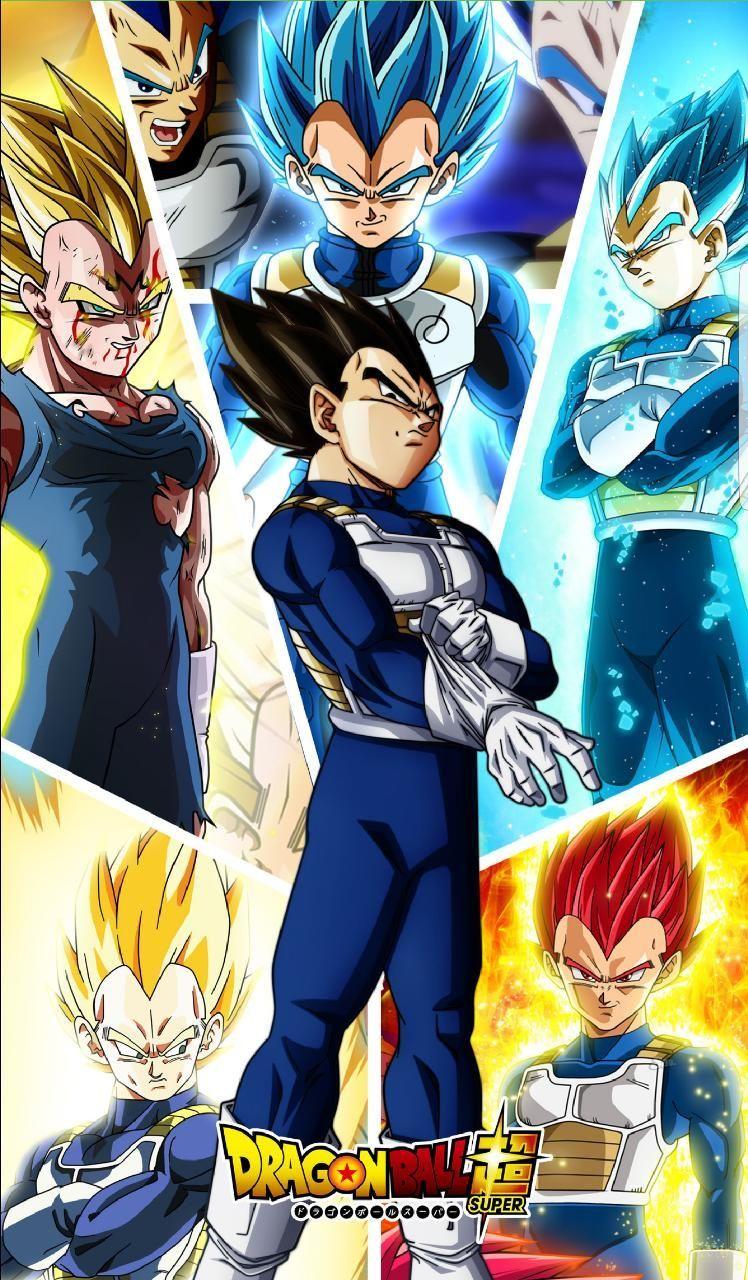 748x1280 Download Vegeta Wallpaper
