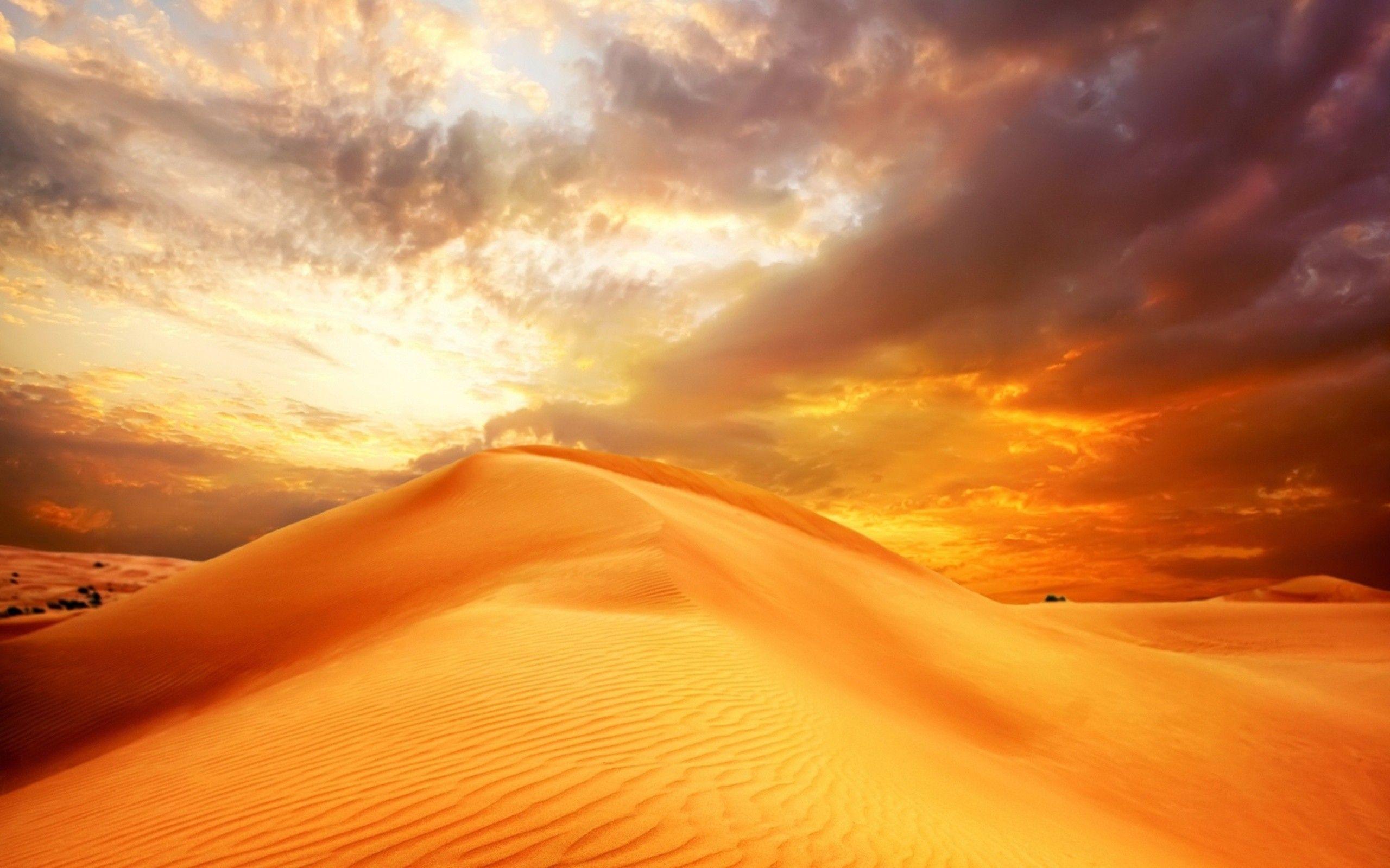 2560x1600 Brilliant Desert Earth Wallpaper HD