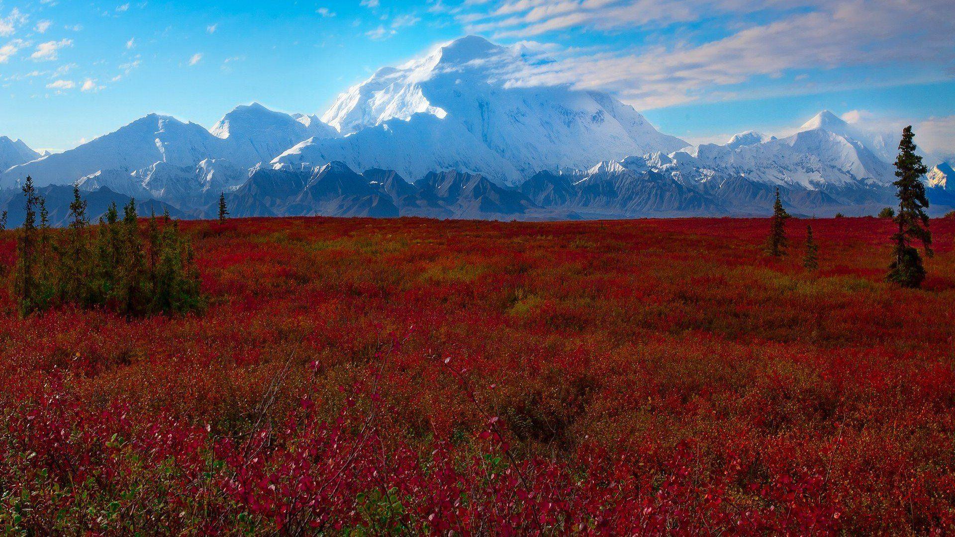 1920x1080 denali, National, Park, Alaska Wallpaper HD / Desktop and Mobile
