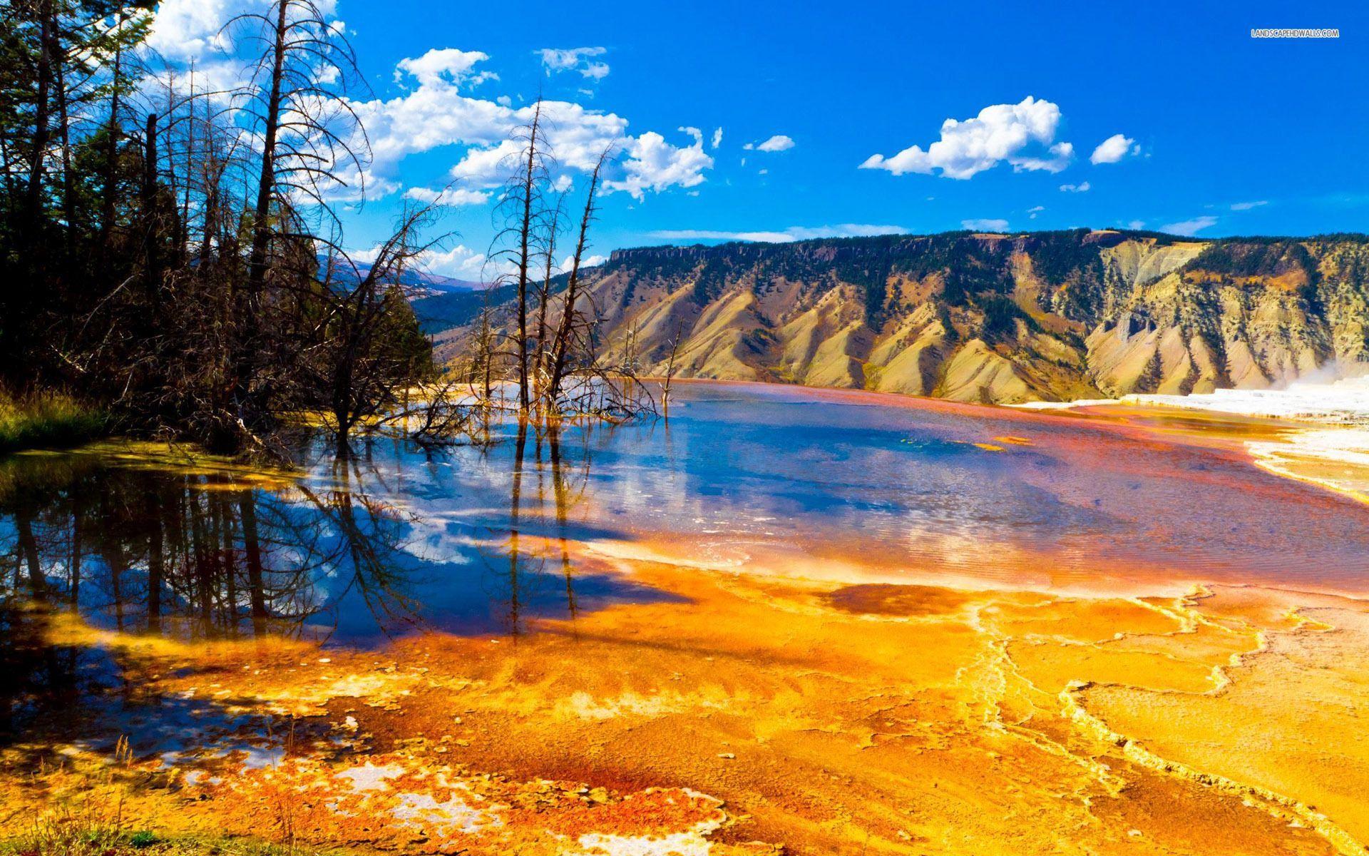 Yellowstone National Park Wallpapers - Top Free Yellowstone National Park  Backgrounds - WallpaperAccess