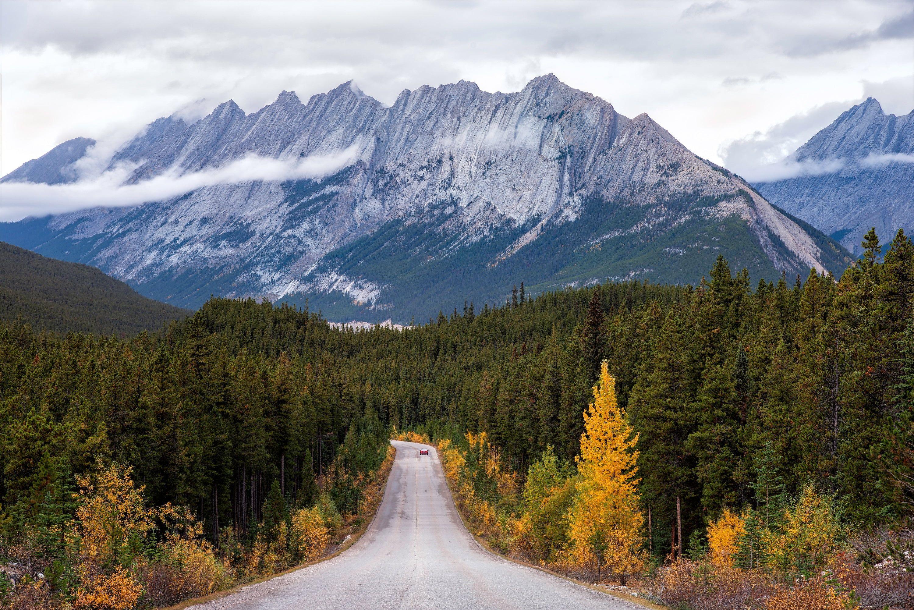 3000x2002 Yellowstone National Park, Mountains, Road, Distance HD wallpaper