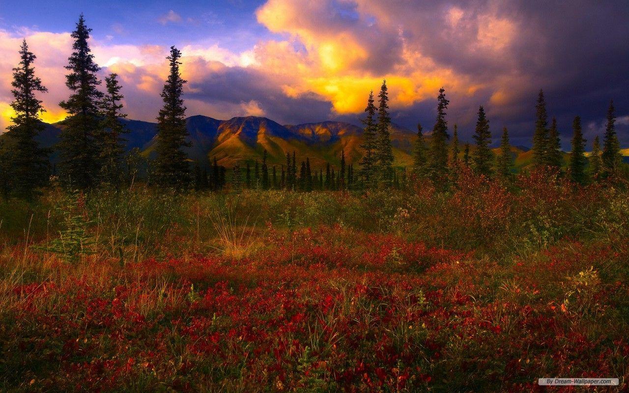 1280x800 Free Wallpaper Travel wallpaper National Park