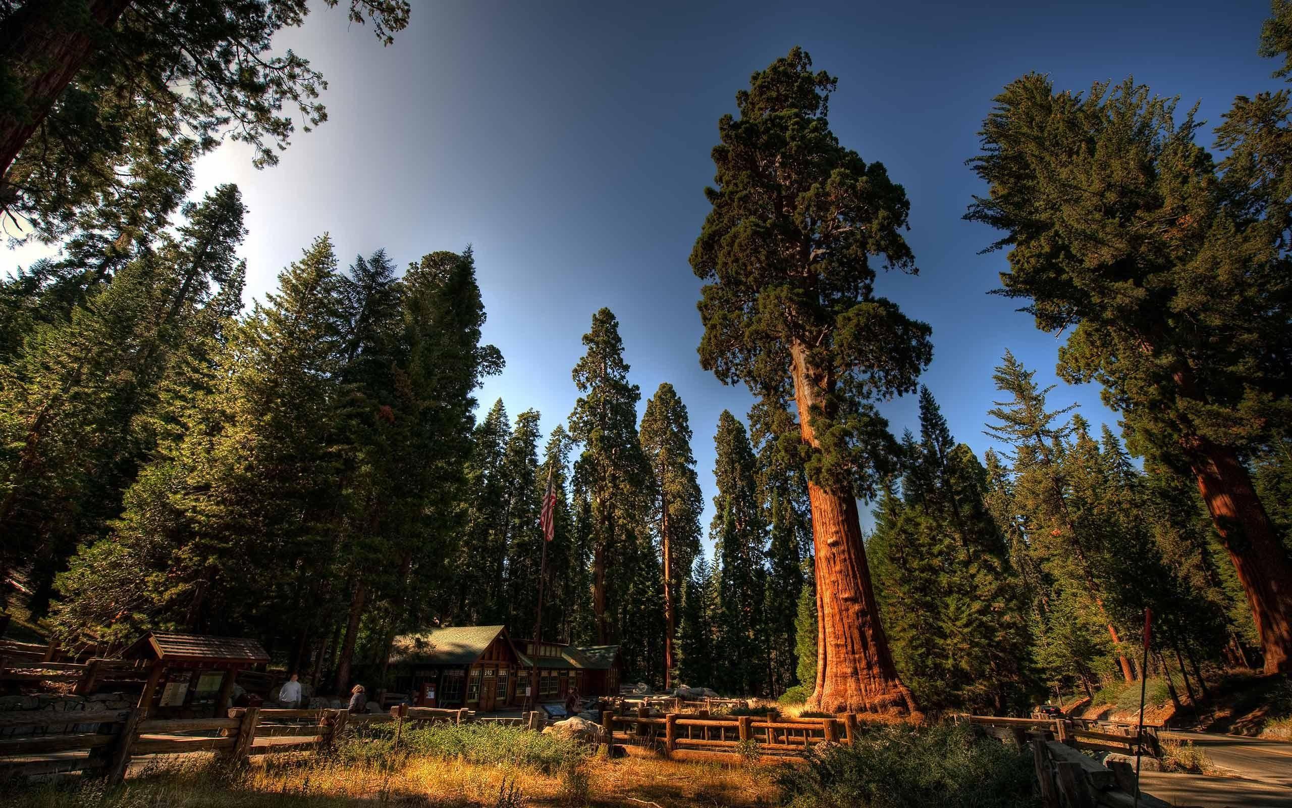 2560x1600 National Park Service Wallpaper