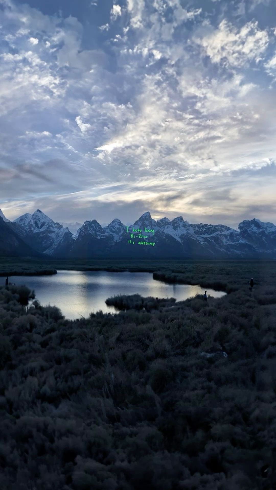 1080x1920 i hate being bipolar, it's awesome